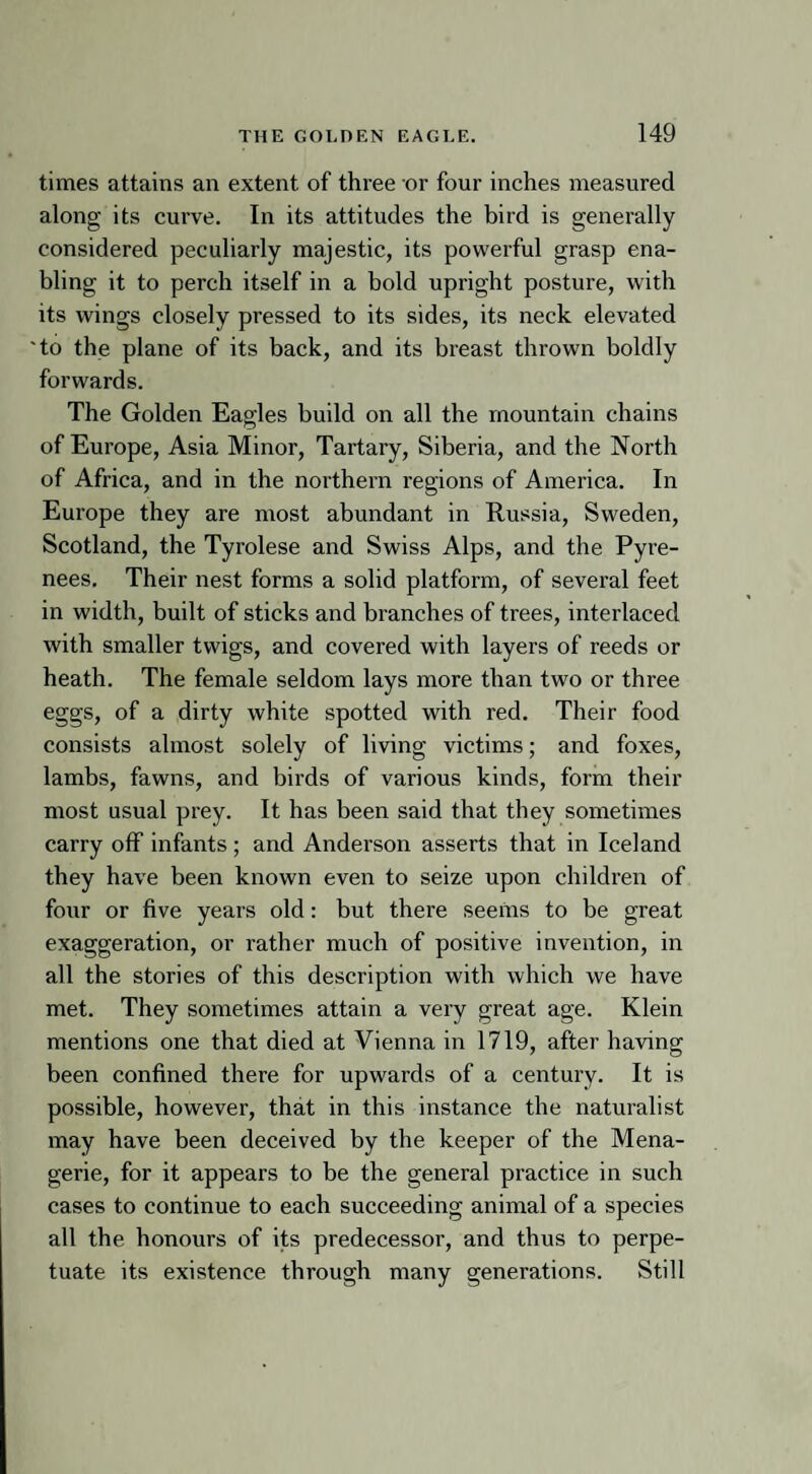 times attains an extent of three or four inches measured along its curve. In its attitudes the bird is generally considered peculiarly majestic, its powerful grasp ena¬ bling it to perch itself in a bold upright posture, with its wings closely pressed to its sides, its neck elevated 'to the plane of its back, and its breast thrown boldly forwards. The Golden Eagles build on all the mountain chains of Europe, Asia Minor, Tartary, Siberia, and the North of Africa, and in the northern regions of America. In Europe they are most abundant in Russia, Sweden, Scotland, the Tyrolese and Swiss Alps, and the Pyre¬ nees. Their nest forms a solid platform, of several feet in width, built of sticks and branches of trees, interlaced with smaller twigs, and covered with layers of reeds or heath. The female seldom lays more than two or three eggs, of a dirty white spotted with red. Their food consists almost solely of living victims; and foxes, lambs, fawns, and birds of various kinds, form their most usual prey. It has been said that they sometimes carry off infants ; and Anderson asserts that in Iceland they have been known even to seize upon children of four or five years old: but there seems to be great exaggeration, or rather much of positive invention, in all the stories of this description with which we have met. They sometimes attain a very great age. Klein mentions one that died at Vienna in 1719, after having been confined there for upwards of a century. It is possible, however, that in this instance the naturalist may have been deceived by the keeper of the Mena¬ gerie, for it appears to be the general practice in such cases to continue to each succeeding animal of a species all the honours of its predecessor, and thus to perpe¬ tuate its existence through many generations. Still