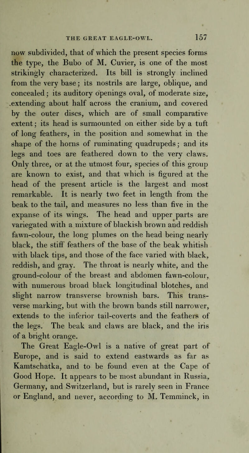 now subdivided, that of which the present species forms the type, the Bubo of M. Cuvier, is one of the most strikingly characterized. Its bill is strongly inclined from the very base; its nostrils are large, oblique, and concealed ; its auditory openings oval, of moderate size, .extending about half across the cranium, and covered by the outer discs, which are of small comparative extent; its head is surmounted on either side by a tuft of long feathers, in the position and somewhat in the shape of the horns of ruminating quadrupeds; and its legs and toes are feathered down to the very claws. Only three, or at the utmost four, species of this group are known to exist, and that which is figured at the head of the present article is the largest and most remarkable. It is nearly two feet in length from the beak to the tail, and measures no less than five in the expanse of its wings. The head and upper parts are variegated with a mixture of blackish brown and reddish fawn-colour, the long plumes on the head being nearly black, the stiff feathers of the base of the beak whitish with black tips, and those of the face varied with black, reddish, and gray. The throat is nearly white, and the ground-colour of the breast and abdomen fawn-colour, with numerous broad black longitudinal blotches, and slight narrow transverse brownish bars. This trans¬ verse marking, but with the brown bands still narrower, extends to the inferior tail-coverts and the feathers of the legs. The beak and claws are black, and the iris of a brio-ht orano e. © © The Great Eagle-Owl is a native of great part of Europe, and is said to extend eastwards as far as Kamtschatka, and to be found even at the Cape of Good Hope. It appears to be most abundant in Russia, Germany, and Switzerland, but is rarely seen in France or England, and never, according to M. Temminck, in