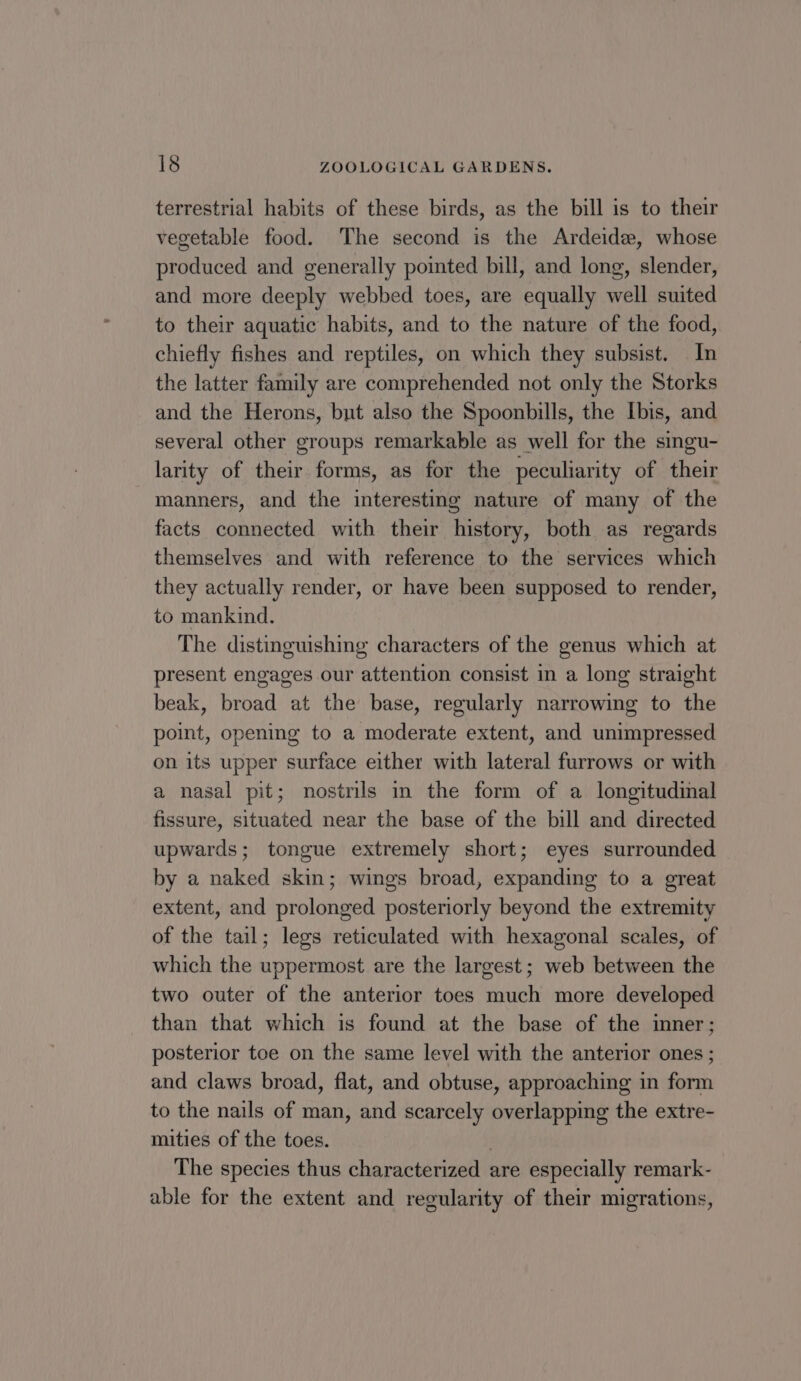 terrestrial habits of these birds, as the bill is to their vegetable food. The second is the Ardeide, whose produced and generally pointed bill, and long, slender, and more deeply webbed toes, are equally well suited to their aquatic habits, and to the nature of the food, chiefly fishes and reptiles, on which they subsist. In the latter family are comprehended not only the Storks and the Herons, but also the Spoonbills, the Ibis, and several other groups remarkable as well for the singu- larity of their forms, as for the peculiarity of their manners, and the interesting nature of many of the facts connected with their history, both as regards themselves and with reference to the services which they actually render, or have been supposed to render, to mankind. The distinguishing characters of the genus which at present engages our attention consist in a long straight beak, broad at the base, regularly narrowing to the point, opening to a moderate extent, and unimpressed on its upper surface either with lateral furrows or with a nasal pit; nostrils in the form of a longitudinal fissure, situated near the base of the bill and directed upwards; tongue extremely short; eyes surrounded by a naked skin; wings broad, expanding to a great extent, and prolonged posteriorly beyond the extremity of the tail; legs reticulated with hexagonal scales, of which the uppermost are the largest; web between the two outer of the anterior toes much more developed than that which is found at the base of the imner; posterior toe on the same level with the anterior ones ; and claws broad, flat, and obtuse, approaching in form to the nails of man, and scarcely overlapping the extre- mities of the toes. The species thus characterized are especially remark- able for the extent and regularity of their migrations,