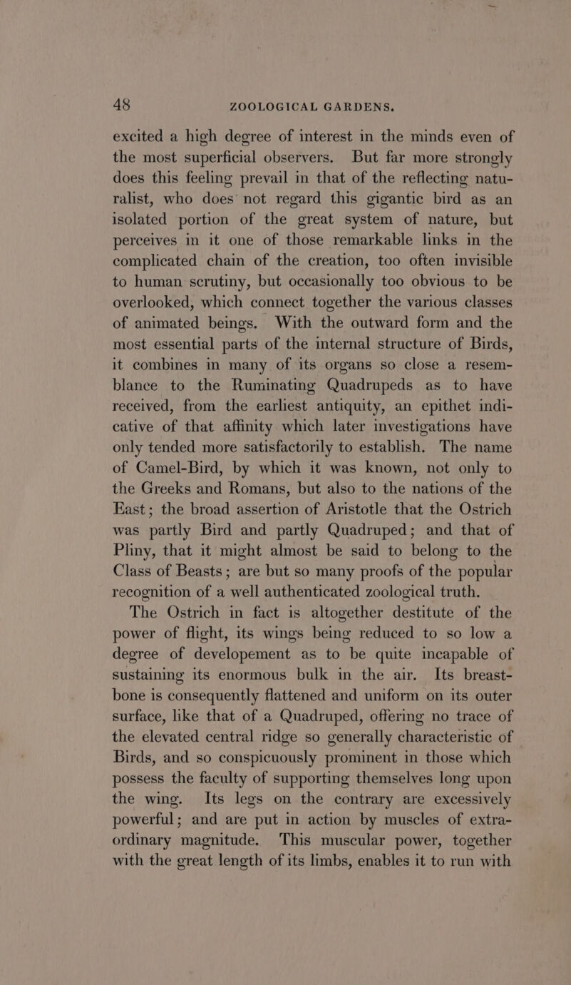 excited a high degree of interest in the minds even of the most superficial observers. But far more strongly does this feeling prevail in that of the reflecting natu- ralist, who does not regard this gigantic bird as an isolated portion of the great system of nature, but perceives in it one of those remarkable links in the complicated chain of the creation, too often invisible to human scrutiny, but occasionally too obvious to be overlooked, which connect together the various classes of animated beings. With the outward form and the most essential parts of the internal structure of Birds, it combines in many of its organs so close a resem- blance to the Ruminating Quadrupeds as to have received, from the earliest antiquity, an epithet indi- cative of that affinity which later investigations have only tended more satisfactorily to establish. The name of Camel-Bird, by which it was known, not only to the Greeks and Romans, but also to the nations of the East; the broad assertion of Aristotle that the Ostrich was partly Bird and partly Quadruped; and that of Pliny, that it might almost be said to belong to the Class of Beasts; are but so many proofs of the popular recognition of a well authenticated zoological truth. The Ostrich in fact is altogether destitute of the power of flight, its wings being reduced to so low a degree of developement as to be quite incapable of sustaining its enormous bulk in the air. Its breast- bone is consequently flattened and uniform on its outer surface, like that of a Quadruped, offering no trace of the elevated central ridge so generally characteristic of Birds, and so conspicuously prominent in those which possess the faculty of supporting themselves long upon the wing. Its legs on the contrary are excessively powerful; and are put in action by muscles of extra- ordinary magnitude. This muscular power, together with the great length of its limbs, enables it to run with