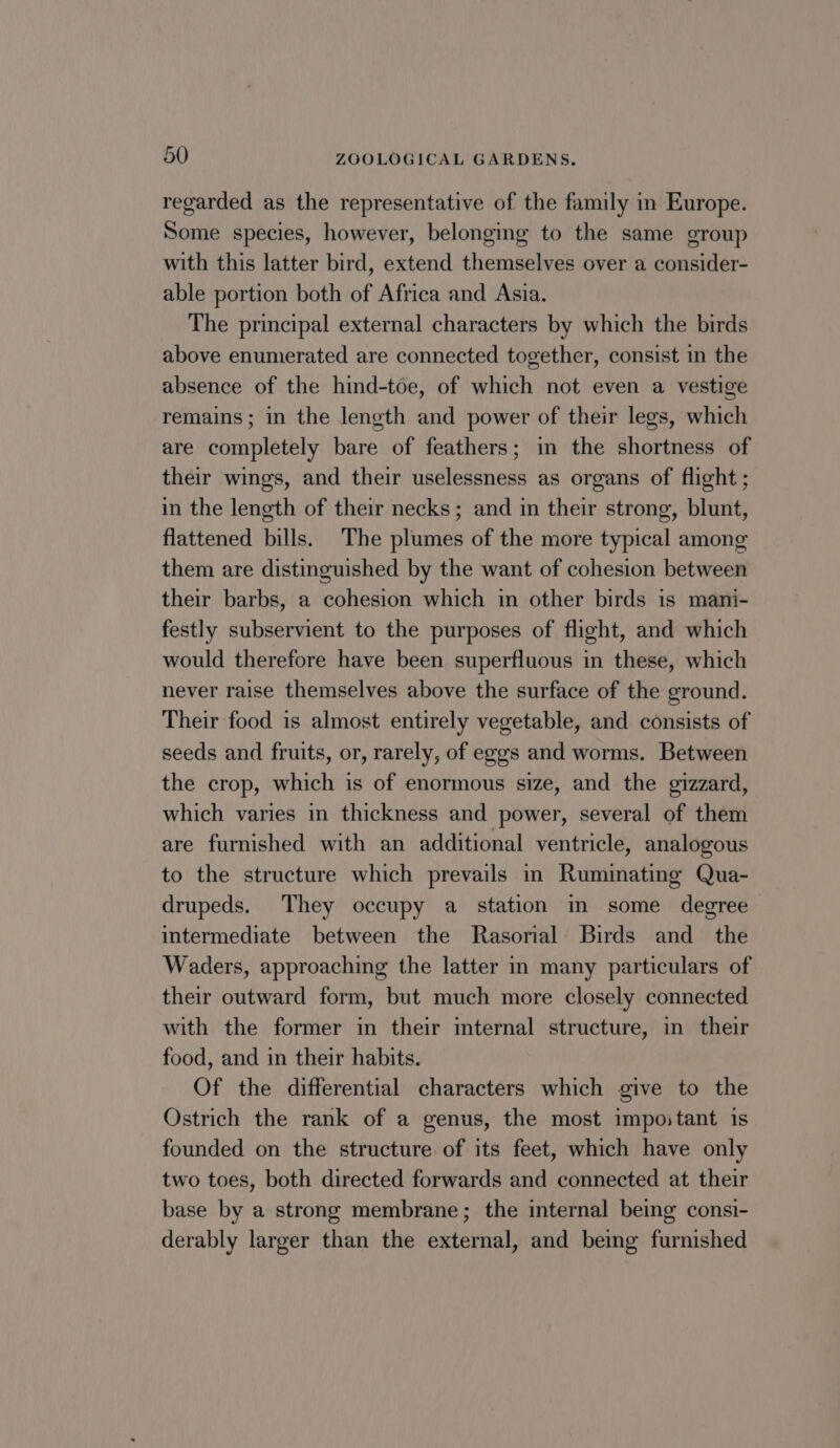 regarded as the representative of the family in Europe. Some species, however, belonging to the same group with this latter bird, extend themselves over a consider- able portion both of Africa and Asia. The principal external characters by which the birds above enumerated are connected together, consist in the absence of the hind-toe, of which not even a vestige remains; in the length and power of their legs, which are completely bare of feathers; in the shortness of their wings, and their uselessness as organs of flight ; in the length of their necks; and in their strong, blunt, flattened bills. The plumes of the more typical among them are distinguished by the want of cohesion between their barbs, a cohesion which in other birds is mani- festly subservient to the purposes of flight, and which would therefore have been superfluous in these, which never raise themselves above the surface of the ground. Their food is almost entirely vegetable, and consists of seeds and fruits, or, rarely, of eggs and worms. Between the crop, which is of enormous size, and the gizzard, which varies in thickness and power, several of them are furnished with an additional ventricle, analogous to the structure which prevails in Ruminating Qua- drupeds. They occupy a station in some degree intermediate between the Rasorial Birds and the Waders, approaching the latter in many particulars of their outward form, but much more closely connected with the former in their internal structure, in their food, and in their habits. Of the differential characters which give to the Ostrich the rank of a genus, the most impostant is founded on the structure. of its feet, which have only two toes, both directed forwards and connected at their base by a strong membrane; the internal being consi- derably larger than the external, and bemg furnished