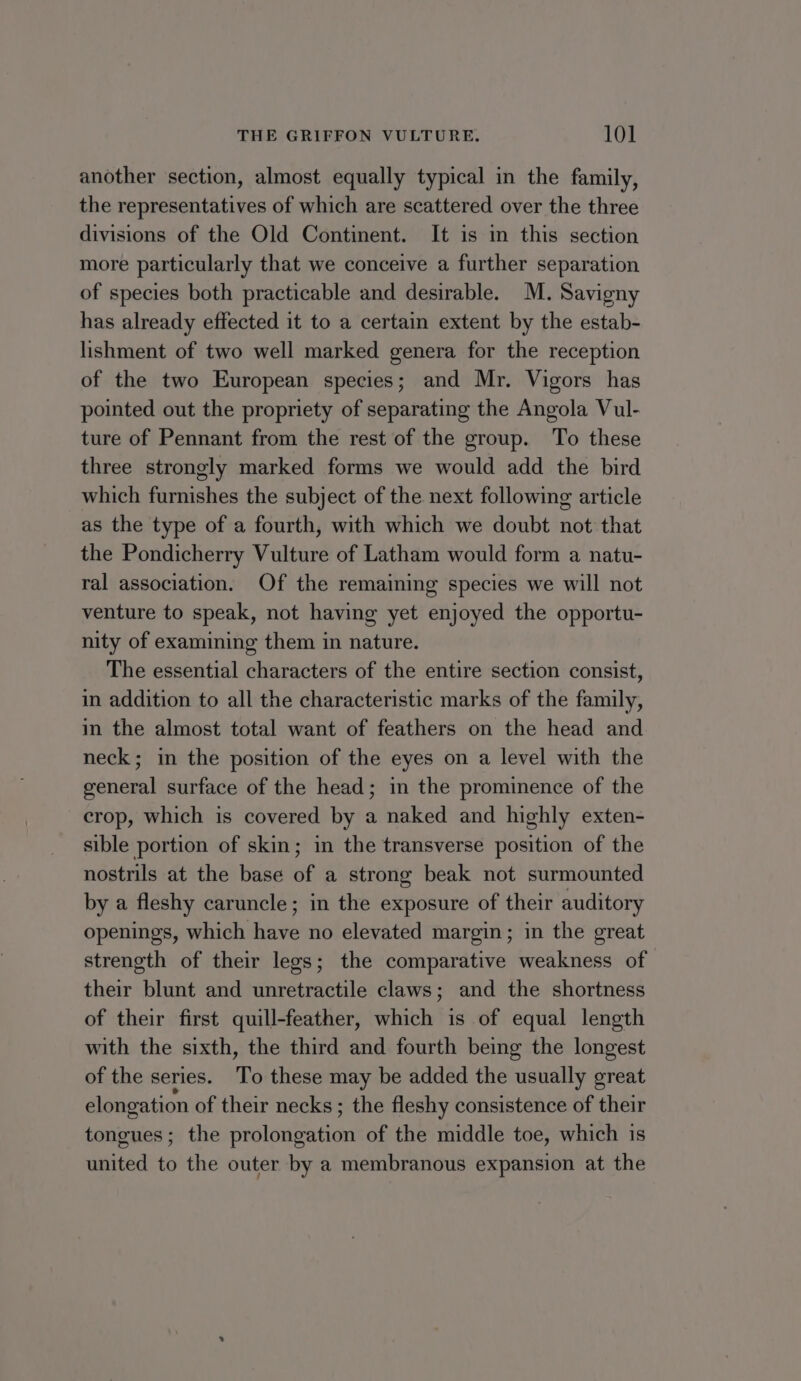 another section, almost equally typical in the family, the representatives of which are scattered over the three divisions of the Old Continent. It is in this section more particularly that we conceive a further separation of species both practicable and desirable. M. Savigny has already effected it to a certain extent by the estab- lishment of two well marked genera for the reception of the two European species; and Mr. Vigors has pointed out the propriety of separating the Angola Vul- ture of Pennant from the rest of the group. To these three strongly marked forms we would add the bird which furnishes the subject of the next following article as the type of a fourth, with which we doubt not that the Pondicherry Vulture of Latham would form a natu- ral association. Of the remaining species we will not venture to speak, not having yet enjoyed the opportu- nity of examining them in nature. The essential characters of the entire section consist, in addition to all the characteristic marks of the family, in the almost total want of feathers on the head and neck; in the position of the eyes on a level with the general surface of the head; in the prominence of the crop, which is covered by a naked and highly exten- sible portion of skin; in the transverse position of the nostrils at the base of a strong beak not surmounted by a fleshy caruncle; in the exposure of their auditory openings, which have no elevated margin; in the great strength of their legs; the comparative weakness of their blunt and unretractile claws; and the shortness of their first quill-feather, which is of equal length with the sixth, the third and fourth being the longest of the series. To these may be added the usually great elongation of their necks ; the fleshy consistence of their tongues; the eniblodterear of the middle toe, which is united to the outer by a membranous expansion at the