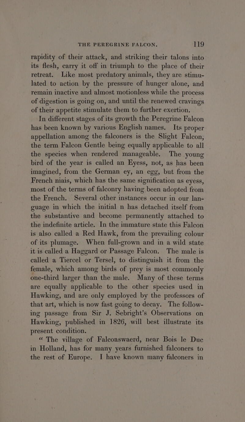 rapidity of their attack, and striking their talons into its flesh, carry it off in triumph to the place of their retreat. Like most predatory animals, they are stimu- lated to action by the pressure of hunger alone, and remain inactive and almost motionless while the process of digestion is going on, and until the renewed cravings of their appetite stimulate them to further exertion. In different stages of its growth the Peregrine Falcon has been known by various English names. Its proper appellation among the falconers is the Slight Falcon, the term Falcon Gentle being equally applicable to all | the species when rendered manageable. The young bird of the year is called an Eyess, not, as has been imagined, from the German ey, an egg, but from the French niais, which has the same signification as eyess, most of the terms of falconry having been adopted from the French. Several other instances occur in our lan- guage in which the initial n has detached itself from the substantive and become permanently attached to the indefinite article. In the immature state this Falcon is also called a Red Hawk, from the prevailing colour of its plumage. When full-grown and in a wild state it is called a Haggard or Passage Falcon. The male is called a Tiercel or Tersel, to distinguish it from the female, which among birds of prey is most commonly one-third larger than the male. Many of these terms are equally applicable to the other species used in Hawking, and are only employed by the professors of that art, which is now fast going to decay. The follow- ing passage from Sir J. Sebright’s Observations on Hawking, published in 1826, will best illustrate its present condition. “ The village of Falconswaerd, near Bois le Duc in Holland, has for many years furnished falconers to the rest of Europe. I have known many falconers in