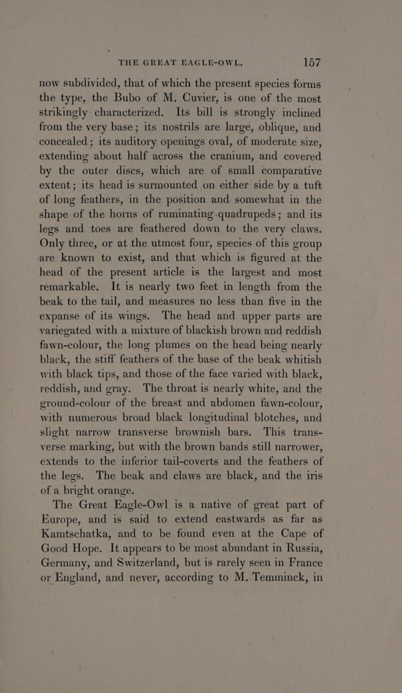 now subdivided, that of which the present species forms the type, the Bubo of M, Cuvier, is one of the most strikingly characterized. Its bill is strongly inclined from the very base; its nostrils are large, oblique, and concealed ; its auditory openings oval, of moderate size, extending about half across the cranium, and covered by the outer discs, which are of small comparative extent ; its head is surmounted on either side by a tuft of long feathers, in the position and somewhat in the shape of the horns of ruminating .quadrupeds; and its legs and toes are feathered down to the very claws. Only three, or at the utmost four, species of this group are known to exist, and that which is figured at the head of the present article is the largest and most remarkable. It is nearly two feet in length from the beak to the tail, and measures no less than five in the expanse of its wings. The head and upper parts are variegated with a mixture of blackish brown and reddish fawn-colour, the long plumes on the head being nearly black, the stiff feathers of the base of the beak whitish with black tips, and those of the face varied with black, reddish, and gray. The throat is nearly white, and the eround-colour of the breast and abdomen fawn-colour, with numerous broad black longitudinal blotches, and slight narrow transverse brownish bars. This trans- verse marking, but with the brown bands still narrower, extends to the inferior tail-coverts and the feathers of the legs. The beak and claws are black, and the iris of a bright orange. The Great Eagle-Owl is a native of great part of Europe, and is said to extend eastwards as far as Kamtschatka, and to be found even at the Cape of Good Hope. It appears to be most abundant in Russia, Germany, and Switzerland, but is rarely seen in France or England, and never, according to M..Temmuinck, in