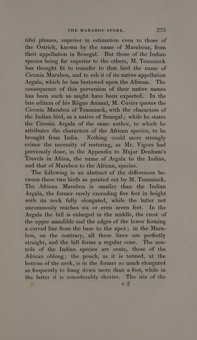 tiful plumes, superior in estimation even to those of the Ostrich, known by the name of Marabous, from their appellation in Senegal. But those of the Indian species being far superior to the others, M. Temminck has thought fit to transfer to that bird the name of Ciconia Marabou, and to rob it of its native appellation Argala, which he has bestowed upon the African. The consequence of this perversion of their native names has been such as might have been expected. In the late edition of his Régne Animal, M. Cuvier quotes the Ciconia Marabou of Temminck, with the characters of the Indian bird, as a native of Senegal; while he states the Ciconia Argala of the same author, to which he attributes the characters of the African species, to be brought from India. Nothing could more strongly evince the necessity of restoring, as Mr. Vigors had previously done, in the Appendix to Major Denham’s Travels in Africa, the name of Argala to the Indian, and that of Marabou to the African, species. The following is an abstract of the differences be- tween these two birds as pointed out by M. Temminck. The African Marabou is smaller than the Indian Argala, the former rarely exceeding five feet in height with its neck fully elongated, while the latter not uncommonly reaches six or even seven feet. In the Argala the bill is enlarged in the middle, the crest of the upper mandible and the edges of the lower forming a curved line from the base to the apex; in the Mara- bou, on the contrary, all these lines are perfectly straight, and the bill forms a regular cone. The nos- trils of the Indian species are ovate, those of the African oblong; the pouch, as it is termed, at the bottom of the neck, is in the former so much elongated as frequently to hang down more than a foot, while in the latter it is considerably shorter. The iris of the T 2