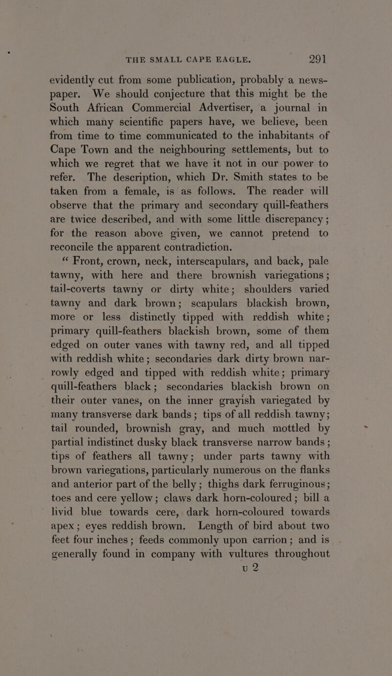 THE SMALL CAPE EAGLE. 29] evidently cut from some publication, probably a news- paper. We should conjecture that this might be the South African Commercial Advertiser, a journal in which many scientific papers have, we believe, been from time to time communicated to the inhabitants of Cape Town and the neighbouring settlements, but to which we regret that we have it not in our power to refer. The description, which Dr, Smith states to be taken from a female, is as follows. The reader will observe that the primary and secondary quill-feathers are twice described, and with some little discrepancy ; for the reason above given, we cannot pretend to reconcile the apparent contradiction. “ Front, crown, neck, interscapulars, and back, pale tawny, with here and there brownish variegations ; tail-coverts tawny or dirty white; shoulders varied tawny and dark brown; scapulars blackish brown, more or less distinctly tipped with reddish white ; primary quill-feathers blackish brown, some of them edged on outer vanes with tawny red, and all tipped with reddish white ; secondaries dark dirty brown nar- _ rowly edged and tipped with reddish white; primary quill-feathers black; secondaries blackish brown on their outer vanes, on the inner grayish variegated by many transverse dark bands; tips of all reddish tawny; tail rounded, brownish gray, and much mottled by partial indistinct dusky black transverse narrow bands ; tips of feathers all tawny; under parts tawny with brown variegations, particularly numerous on the flanks and anterior part of the belly ; thighs dark ferruginous ; toes and cere yellow; claws dark horn-coloured ; bill a livid blue towards cere, dark horn-coloured towards apex; eyes reddish brown. Length of bird about two feet four inches ; feeds commonly upon carrion; and is generally found in company with vultures throughout u 2