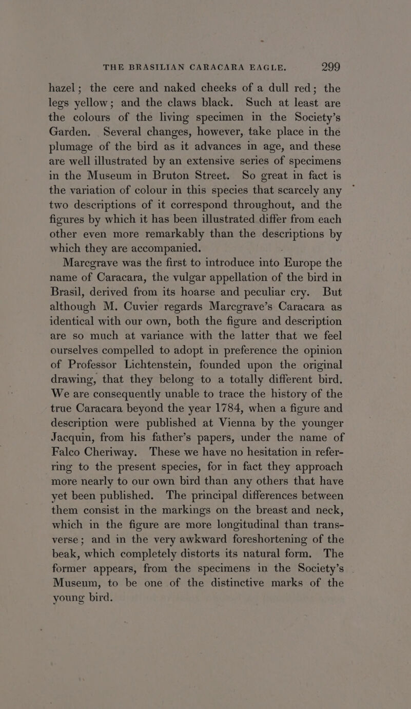 hazel; the cere and naked cheeks of a dull red; the legs yellow; and the claws black. Such at least are the colours of the living specimen in the Society’s Garden. Several changes, however, take place in the plumage of the bird as it advances in age, and these are well illustrated by an extensive series of specimens in the Museum in Bruton Street. So great in fact is the variation of colour in this species that scarcely any two descriptions of it correspond throughout, and the figures by which it has been illustrated differ from each other even more remarkably than the descriptions by which they are accompanied. Marcgrave was the first to introduce into icone the name of Caracara, the vulgar appellation of the bird in Brasil, derived from its hoarse and peculiar cry. But ARR M. Cuvier regards Marcgrave’s Caracara as identical with our own, both the figure and description are so much at variance with the latter that we feel ourselves compelled to adopt in preference the opinion of Professor Lichtenstein, founded upon the original drawing, that they belong to a totally different bird. We are consequently unable to trace the history of the true Caracara beyond the year 1784, when a figure and description were published at Vienna by the younger Jacquin, from his father’s papers, under the name of Falco Cheriway. These we have no hesitation in refer- ring to the present species, for in fact they approach more nearly to our own bird than any others that have yet been published. The principal differences between them consist in the markings on the breast and neck, which in the figure are more longitudinal than trans- verse; and in the very awkward foreshortening of the beak, which completely distorts its natural form. The former appears, from the specimens in the Society’s Museum, to be one of the distinctive marks of the young bird.