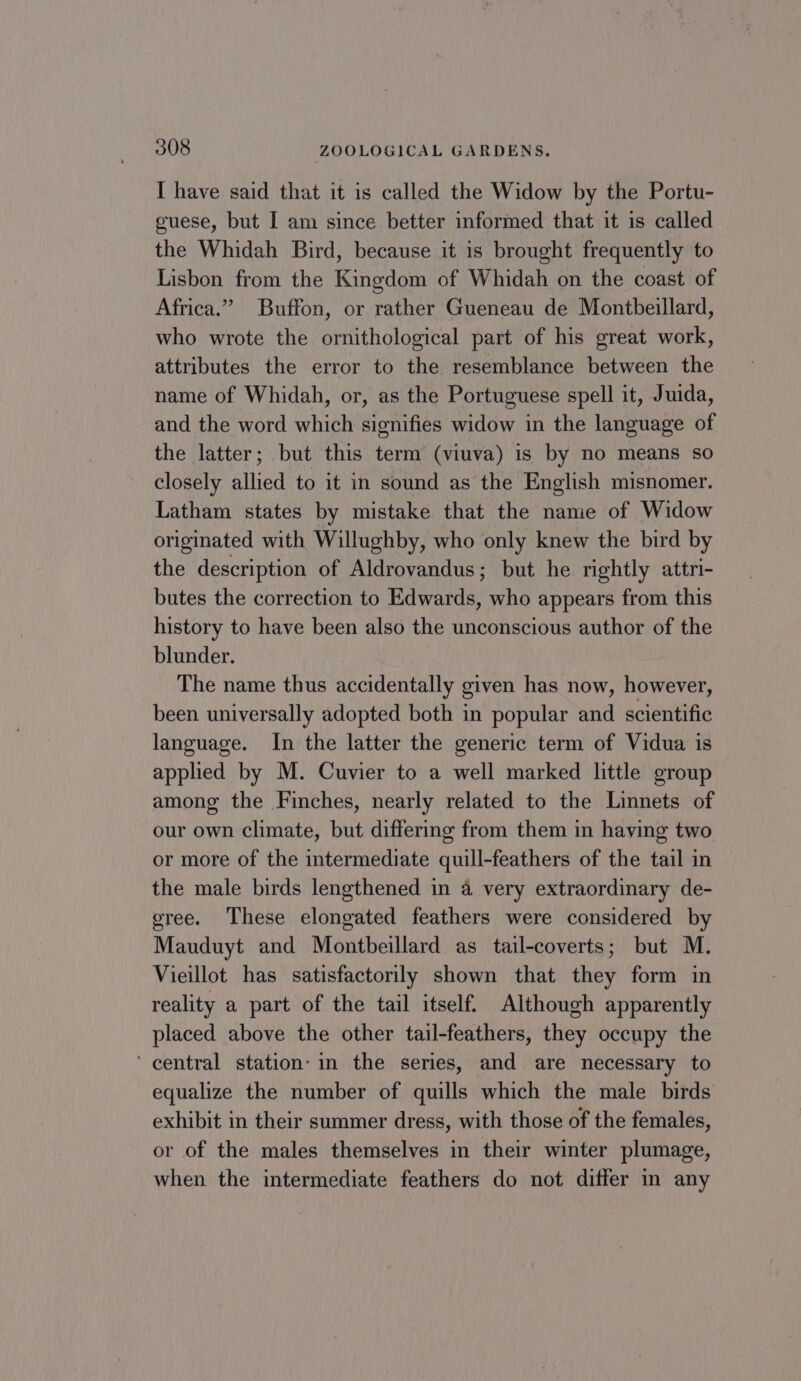 I have said that it is called the Widow by the Portu- guese, but I am since better informed that it is called the Whidah Bird, because it is brought frequently to Lisbon from the Kingdom of Whidah on the coast of Africa.” Buffon, or rather Gueneau de Montbeillard, who wrote the ornithological part of his great work, attributes the error to the resemblance between the name of Whidah, or, as the Portuguese spell it, Juida, and the word which signifies widow in the language of the latter; but this term (viuva) is by no means so closely allied to it in sound as the English misnomer. Latham states by mistake that the name of Widow originated with Willughby, who only knew the bird by the description of Aldrovandus; but he rightly attri- butes the correction to Edwards, who appears from this history to have been also the unconscious author of the blunder. The name thus accidentally given has now, however, been universally adopted both in popular and scientific language. In the latter the generic term of Vidua is applied by M. Cuvier to a well marked little group among the Finches, nearly related to the Linnets of our own climate, but differing from them in having two or more of the intermediate quill-feathers of the tail in the male birds lengthened in a very extraordinary de- gree. These elongated feathers were considered by Mauduyt and Montbeillard as tail-coverts; but M. Vieillot has satisfactorily shown that they form in reality a part of the tail itself. Although apparently placed above the other tail-feathers, they occupy the ‘central station: in the series, and are necessary to equalize the number of quills which the male birds exhibit in their summer dress, with those of the females, or of the males themselves in their winter plumage, when the intermediate feathers do not differ in any