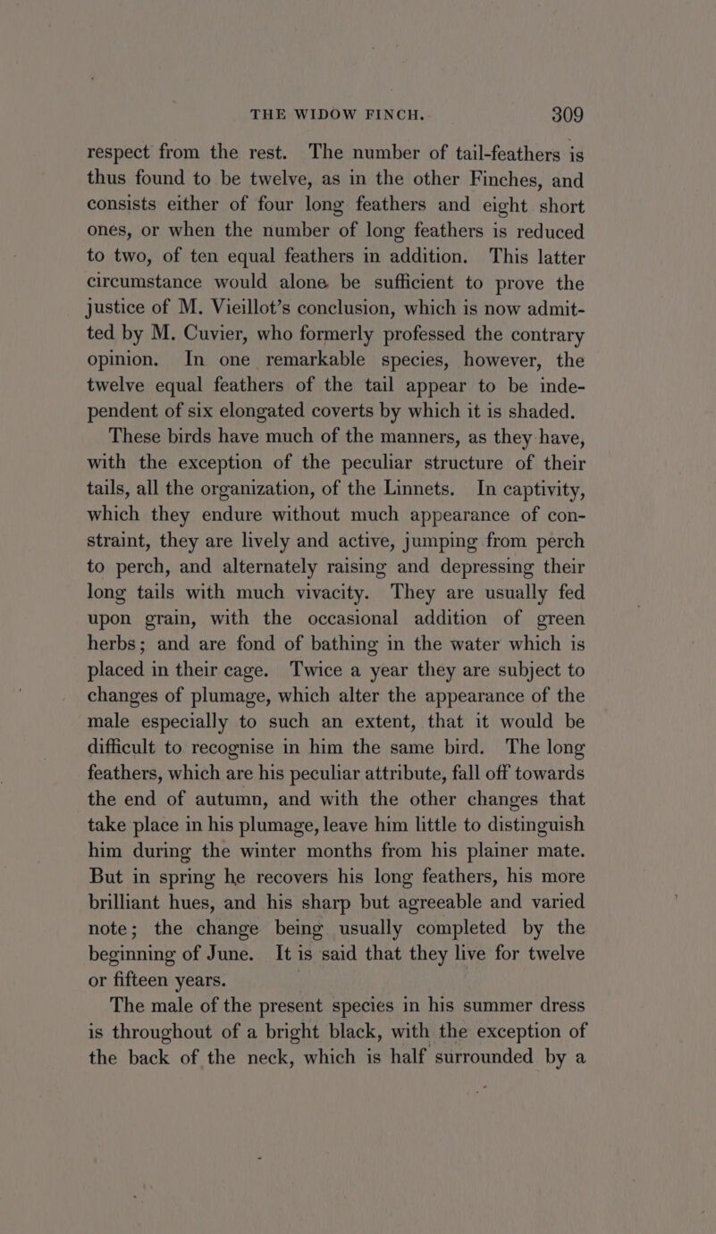 respect from the rest. The number of tail-feathers is thus found to be twelve, as in the other Finches, and consists either of four long feathers and eight short ones, or when the number of long feathers is reduced to two, of ten equal feathers in addition. This latter circumstance would alone be sufficient to prove the justice of M. Vieillot’s conclusion, which is now admit- ted by M. Cuvier, who formerly professed the contrary opinion. In one remarkable species, however, the twelve equal feathers of the tail appear to be inde- pendent of six elongated coverts by which it is shaded. These birds have much of the manners, as they have, with the exception of the peculiar structure of their tails, all the organization, of the Linnets. In captivity, which they endure without much appearance of con- straint, they are lively and active, jumping from perch to perch, and alternately raisimg and depressing their long tails with much vivacity. They are usually fed upon grain, with the occasional addition of green herbs; and are fond of bathing in the water which is placed in their cage. Twice a year they are subject to changes of plumage, which alter the appearance of the male especially to such an extent, that it would be difficult to recognise in him the same bird. The long feathers, which are his peculiar attribute, fall off towards the end of autumn, and with the other changes that take place in his plumage, leave him little to distinguish him during the winter months from his plainer mate. But in spring he recovers his long feathers, his more brilliant hues, and his sharp but agreeable and varied note; the change being usually completed by the beginning of June. It is said that they live for twelve or fifteen years. | | The male of the present species in his summer dress is throughout of a bright black, with the exception of the back of the neck, which is half surrounded by a