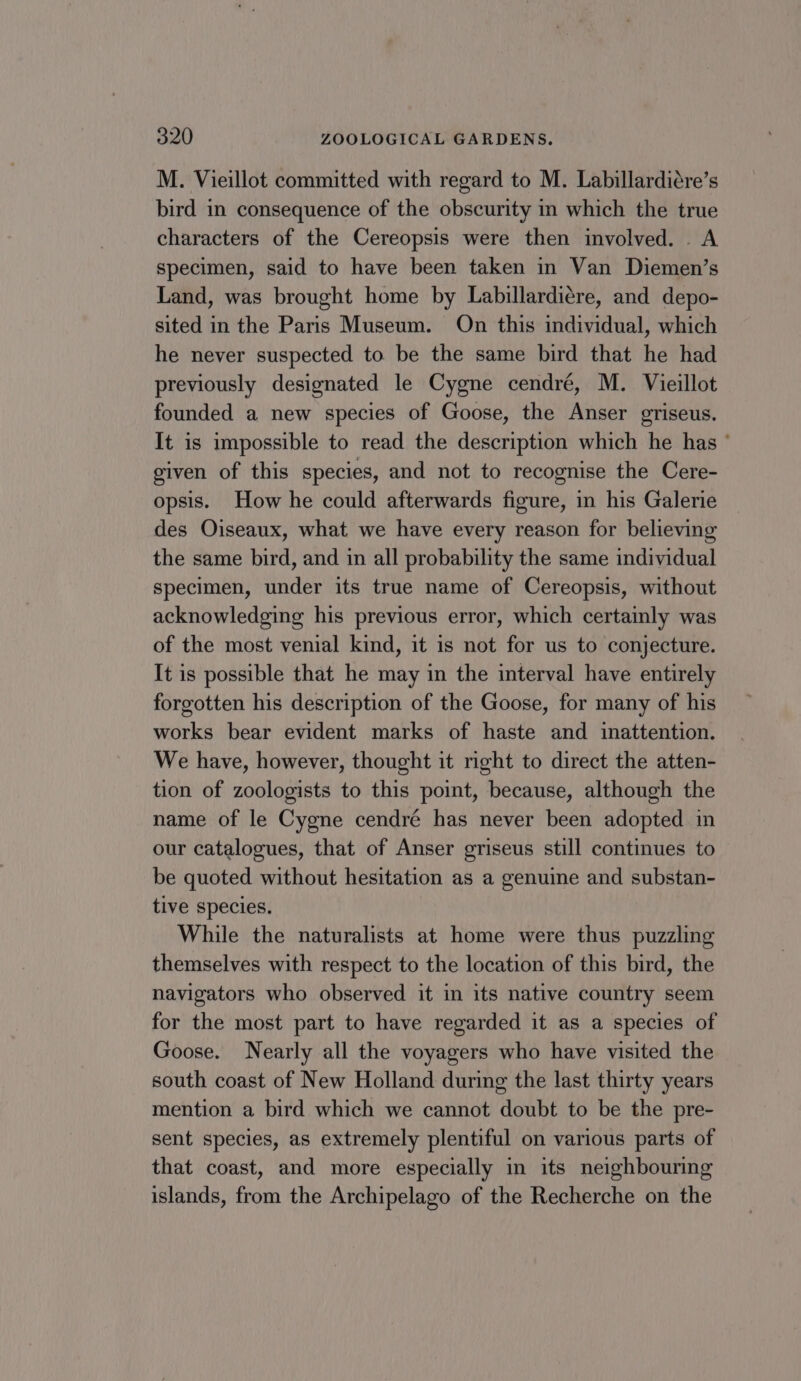 M. Vieillot committed with regard to M. Labillardiére’s bird in consequence of the obscurity in which the true characters of the Cereopsis were then involved. . A specimen, said to have been taken in Van Diemen’s Land, was brought home by Labillardiére, and depo- sited in the Paris Museum. On this individual, which he never suspected to be the same bird that he had previously designated le Cygne cendré, M. Vieillot founded a new species of Goose, the Anser griseus. It is impossible to read the description which he has ° given of this species, and not to recognise the Cere- opsis. How he could afterwards figure, in his Galerie des Oiseaux, what we have every reason for believing the same bird, and in all probability the same individual specimen, under its true name of Cereopsis, without acknowledging his previous error, which certainly was of the most venial kind, it is not for us to conjecture. It is possible that he may in the interval have entirely forgotten his description of the Goose, for many of his works bear evident marks of haste and inattention. We have, however, thought it right to direct the atten- tion of zoologists to this point, because, although the name of le Cygne cendré has never been adopted in our catalogues, that of Anser griseus still continues to be quoted without hesitation as a genuine and substan- tive species. While the naturalists at home were thus puzzling themselves with respect to the location of this bird, the navigators who observed it in its native country seem for the most part to have regarded it as a species of Goose. Nearly all the voyagers who have visited the south coast of New Holland during the last thirty years mention a bird which we cannot doubt to be the pre- sent species, as extremely plentiful on various parts of that coast, and more especially in its neighbouring islands, from the Archipelago of the Recherche on the