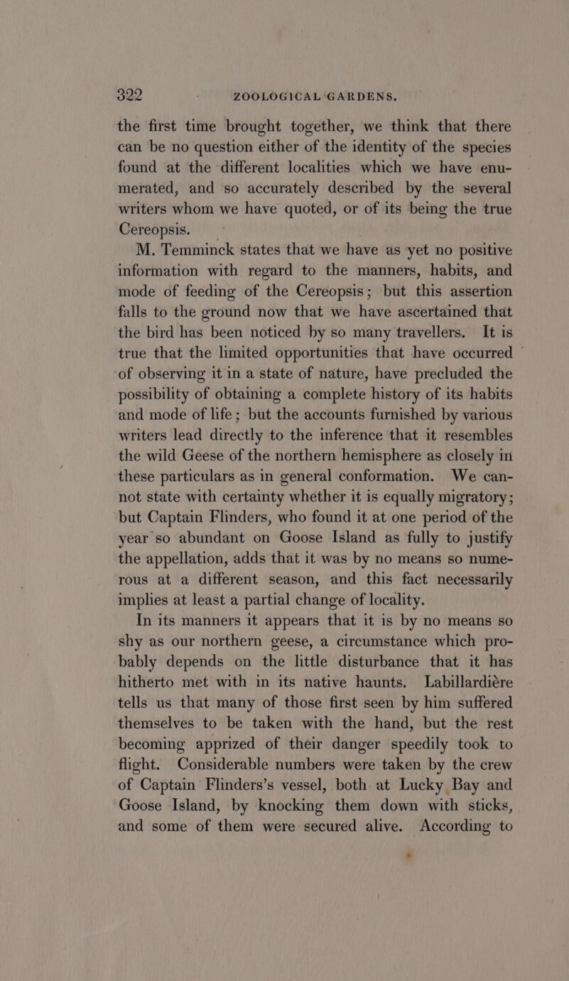 the first time brought together, we think that there can be no question either of the identity of the species found at the different localities which we have enu- merated, and so accurately described by the several writers whom we have quoted, or of its bemg the true Cereopsis. M. Temminck states that we have as yet no positive information with regard to the manners, habits, and mode of feeding of the Cereopsis; but this assertion falls to the ground now that we have ascertained that the bird has been noticed by so many travellers. It is true that the limited opportunities that have occurred — of observing it in a state of nature, have precluded the possibility of obtaining a complete history of its habits and mode of life; but the accounts furnished by various writers lead directly to the inference that it resembles the wild Geese of the northern hemisphere as closely in these particulars as in general conformation. We can- not state with certainty whether it is equally migratory ; but Captain Flinders, who found it at one period of the year so abundant on Goose Island as fully to justify the appellation, adds that it was by no means so nume- rous at a different season, and this fact necessarily implies at least a partial change of locality. In its manners it appears that it is by no means so shy as our northern geese, a circumstance which pro- bably depends on the little disturbance that it has hitherto met with in its native haunts. Labillardiére tells us that many of those first seen by him suffered themselves to be taken with the hand, but the rest becoming apprized of their danger speedily took to flight. Considerable numbers were taken by the crew of Captain Flinders’s vessel, both at Lucky Bay and Goose Island, by knocking them down with sticks, and some of them were secured alive. According to