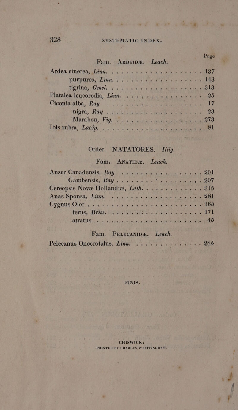 Page Fam. ArRDEIDE&amp;. Leach. Ardea citteréa: sign. 06 2). 4 eg 137 PURDUE, Lit. es ee ean A ns ee 143 Prowinia,tCrmel. | o 2s) G) oe Ai se ln lene 313 Plataleaeucorodia,. Linn: ...°s aust aaa ee 25 Cicomimulba, Hay... 40. shits aa ae meena pe eee nae WF Migra, Ray .. ie! Stade eae bs seh eG 23 Marabots,. Vig. ios) sarod: ga) Oe ei ats 273 dbwrubra, -Lacep, (2.0. 6) od ae is See 81 Order. NATATORES. Iilig. Fam. ANnatTip&amp;. Leach. Anser Canatlendia. Hiya) (s(n. ac american ech a 201 Gambensis, Ray. oe. 6 3 2 Fe LS ger ana ee! Te Cereopsis Nove-Hollandie, Lath............. 316 Anas \Sponsa, [inne *sy.cn\:> in deos Agaieies ste anne 281 Cyn us OlGr i 2ciigiiscis sina ie, eho asin Nal betel mane ene 165 ferus, (Bross. ei ind WES oe AR Belt ee 171 LT ALIS oi. PUN eee cds ee ee 45 Fam. PELEcANIDE. Leach. Pelecanus Onocrotalus, Linn. ....... USE Sa aaa ae 285 FINIS, CHISWICK: PRINTED BY CHARLES WHITTINGHAM,