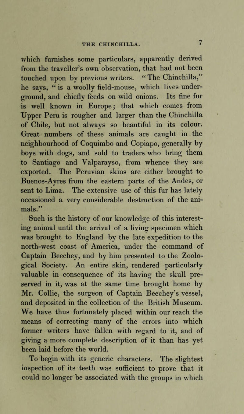 which furnishes some particulars, apparently derived from the traveller’s own observation, that had not been touched upon by previous writers. “ The Chinchilla,” he says, “ is a woolly field-mouse, which lives under¬ ground, and chiefly feeds on ivild onions. Its fine fur is well known in Europe; that which comes from Upper Peru is rougher and larger than the Chinchilla of Chile, but not always so beautiful in its colour. Great numbers of these animals are caught in the neighbourhood of Coquimbo and Copiapo, generally by boys with dogs, and sold to traders who bring them to Santiago and Valparayso, from whence they are exported. The Peruvian skins are either brought to Buenos-Ayres from the eastern parts of the Andes, or sent to Lima. The extensive use of this fur has lately occasioned a very considerable destruction of the ani¬ mals.” Such is the history of our knowledge of this interest¬ ing animal until the arrival of a living specimen which was brought to England by the late expedition to the north-west coast of America, under the command of Captain Beechey, and by him presented to the Zoolo¬ gical Society. An entire skin, rendered particularly valuable in consequence of its having the skull pre¬ served in it, was at the same time brought home by Mr. Collie, the surgeon of Captain Beechey’s vessel, and deposited in the collection of the British Museum. We have thus fortunately placed within our reach the means of correcting many of the errors into which former writers have fallen with regard to it, and of giving a more complete description of it than has yet been laid before the world. To begin with its generic characters. The slightest inspection of its teeth was sufficient to prove that it could no longer be associated with the groups in which