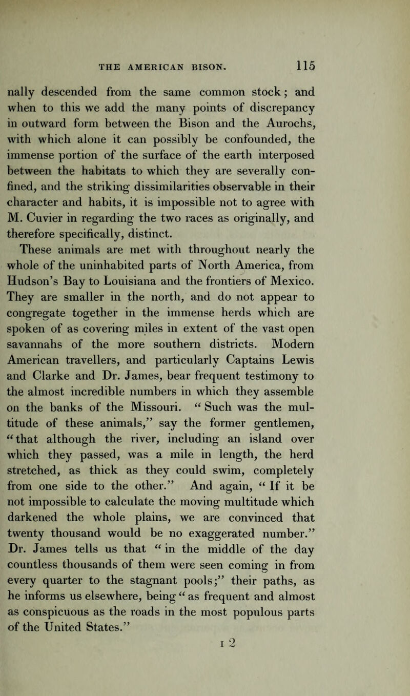 nally descended from the same common stock; and when to this we add the many points of discrepancy in outward form between the Bison and the Aurochs, with which alone it can possibly be confounded, the immense portion of the surface of the earth interposed between the habitats to which they are severally con¬ fined, and the striking dissimilarities observable in their character and habits, it is impossible not to agree with M. Cuvier in regarding the two races as originally, and therefore specifically, distinct. These animals are met with throughout nearly the whole of the uninhabited parts of North America, from Hudson’s Bay to Louisiana and the frontiers of Mexico. They are smaller in the north, and do not appear to congregate together in the immense herds which are spoken of as covering miles in extent of the vast open savannahs of the more southern districts. Modern American travellers, and particularly Captains Lewis and Clarke and Dr. James, bear frequent testimony to the almost incredible numbers in which they assemble on the banks of the Missouri. “ Such was the mul¬ titude of these animals,” say the former gentlemen, “ that although the river, including an island over which they passed, was a mile in length, the herd stretched, as thick as they could swim, completely from one side to the other.” And again, “ If it be not impossible to calculate the moving multitude which darkened the whole plains, we are convinced that twenty thousand would be no exaggerated number.” Dr. James tells us that “ in the middle of the day countless thousands of them were seen coming in from every quarter to the stagnant pools;” their paths, as he informs us elsewhere, being “ as frequent and almost as conspicuous as the roads in the most populous parts of the United States.” I 2