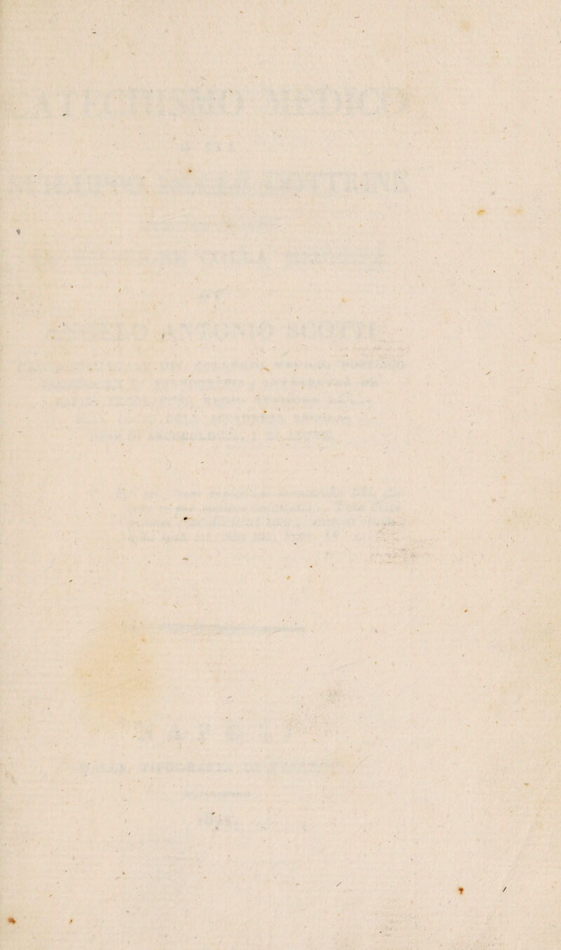 \ * * » f* t f ( I % l * 1 / ■■ * *