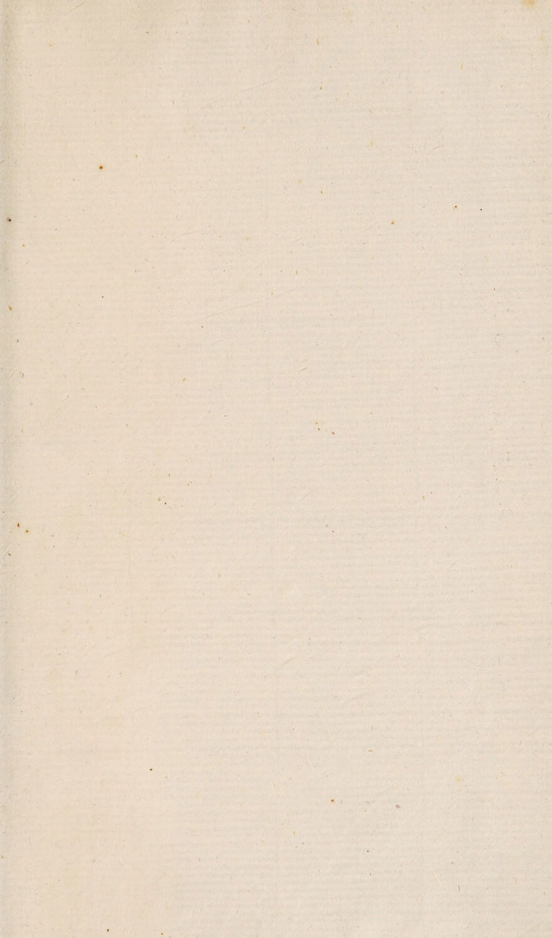 J, A* ■ \ \ ■ . \ - V I r '• i i i »> \