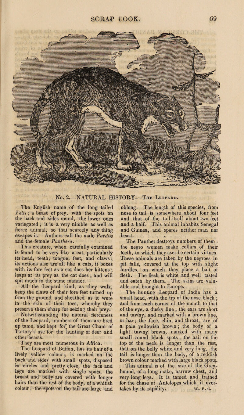 No. 2.—NATURAL HISTORY.—The Leopard. The English name of the long tailed Felis; a beast of prey, with the spots on the back and sides round, the lower ones variegated ; it is a very nimble as well as fierce animal, so that scarcely any thing escapes it. Authors call the male Pardus and the female Panthera. This creature, when carefully examined is found to be very like a cat, particularly its head, teeth, tongue, feet, and claws; its actions also are all like a cats, it boxes with its fore feet as a cat does her kittens ; leaps at its prey as the cat does ; and will spit much in the same manner. All the Leopard kind, as they walk, keep the claws of their fore feet turned up from the ground and sheathed as it were in the skin of their toes, whereby they preserve them sharp for seizing their prey. Notwithstanding the natural fierceness of the Leopard, numbers of them are bred up tame, and kept for] the Great Cham of Tartary’s use for the hunting of deer and other beasts. They are most numerous in Africa. The Leopard of BufFon, has its hair of a lively yellow colour; is marked on the back and sides with small spots, disposed ki circles and pretty close, the face and legs are marked with single spots, the breast and belly are covered with longer hairs than the rest of the body, of a whitish colour; the spots on the tail are large and oblong. The length of this species, from nose to tail is somewhere about four feet and that of the tail itself about two feet and a half. This animal inhabits Senegal and Guinea, and spares neither man nor beast. The Panther destroys numbers of them : the negro women make collars of their teeth, to which they ascribe certain virtues. These animals are taken by the negroes in it falls, covered at the top with slight urdles, on which they place a bait of flesh. The flesh is white and well tasted and eaten by them. The skins are valu¬ able and brought to Europe. The hunting Leopard of India has a small head, with the tip of the nose black ; and from each corner of the mouth to that of the eye, a dusky line ; the ears are short and tawny, and marked with a brown line, or bar-; the face, chin, and throat, are of a pale yellowish brown ; the body of a light tawny brown, marked with many small round black spots ; the hair on the top of the neck is longer than the rest, that on the belly white and very long, the tail is longer than the body, of a reddish brown colour marked with large black spots. This animal is of the size of the Grey¬ hound, of a long make, narrow chest, and very long legs. It is tamed and trained for the chase of Antelopes which it over¬ takes by its rapidity. w. e. c.