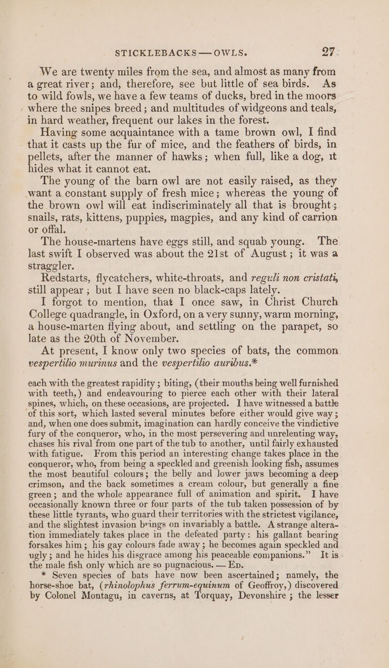 STICKLEBACKS —OWLS. 99 We are twenty miles from the sea, and almost as many from ‘a great river; and, therefore, see but little of sea birds. As to wild fowls, we have a few teams of ducks, bred in the moors _ where the snipes breed; and multitudes of widgeons and teals, in hard weather, frequent our lakes in the forest. Having some acquaintance with a tame brown owl, I find - that it casts up the fur of mice, and the feathers of birds, in pellets, after the manner of hawks; when full, like a dog, it hides what it cannot eat. The young of the barn owl are not easily raised, as they want a constant supply of fresh mice; whereas the young of the brown owl will eat indiscriminately all that is brought; snails, rats, kittens, puppies, magpies, and any kind of carrion or offal, The house-martens have eggs still, and squab young. The last swift I observed was about the 21st of August; it was a straggler. Redstarts, flycatchers, white-throats, and regzli non cristati, still appear ; but I have seen no black-caps lately. I forgot to mention, that I once saw, in Christ Church College quadrangle, in Oxford, on avery sunny, warm morning, a house-marten flying about, and settling on the parapet, so late as the 20th of November. At present, I know only two species of bats, the common vespertilio murinus and the vespertilo auribus.* each with the greatest rapidity ; biting, (their mouths being well furnished with teeth,) and endeavouring to pierce each other with their lateral spines, which, on these occasions, are projected. I have witnessed a battle ‘of this sort, which lasted several minutes before either would give way ; and, when one does submit, imagination can hardly conceive the vindictive fury of the conqueror, who, in the most persevering and unrelenting way, chases his rival from one part of the tub to another, until fairly exhausted with fatigue. From this period an interesting change takes place in the conqueror, who, from being a speckled and greenish looking fish, assumes the most beautiful colours; the belly and lower jaws becoming a deep crimson, and the back sometimes a cream colour, but generally a fine green; and the whole appearance full of animation and spirit. I have occasionally known three or four parts of the tub taken possession of by these little tyrants, who guard their territories with the strictest vigilance, and the slightest invasion brings on invariably a battle. A strange altera- tion immediately takes place in the defeated party: his gallant bearing forsakes him; his gay colours fade away ; he becomes again speckled and ugly ; and he hides his disgrace among his peaceable companions.” It is the male fish only which are so pugnacious. — Ep. * Seven species of bats have now been ascertained; namely, the horse-shoe bat, (rhinolophus ferrum-equinum of Geoffroy, ) discovered _ by Colonel Montagu, in caverns, at Torquay, Devonshire ; the lesser