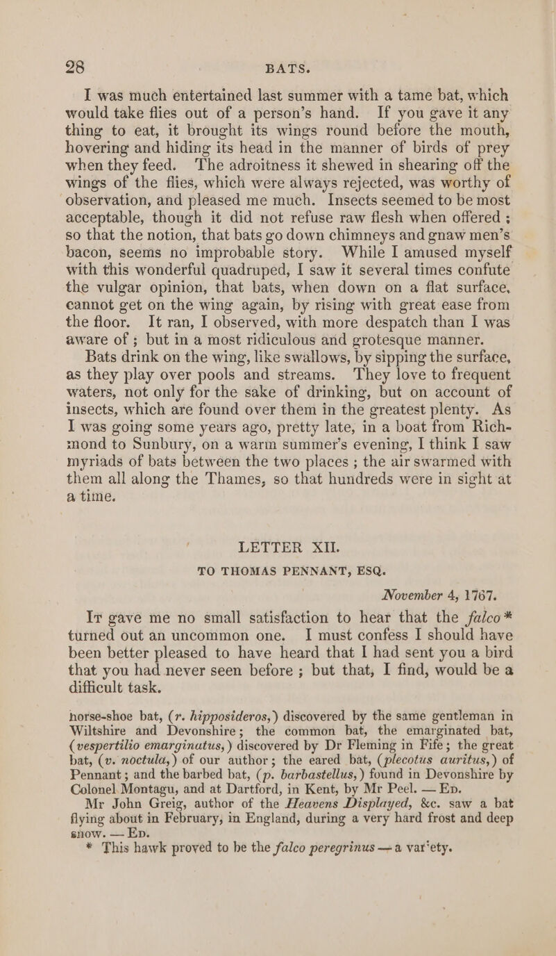 I was much entertained last summer with a tame bat, which would take flies out of a person’s hand. If you gave it any thing to eat, it brought its wings round before the mouth, hovering and hiding its head in the manner of birds of prey when they feed. ‘The adroitness it shewed in shearing off the wings of the flies, which were always rejected, was worthy of observation, and pleased me much. Insects seemed to be most acceptable, though it did not refuse raw flesh when offered ; so that the notion, that bats go down chimneys and gnaw men’s bacon, seems no improbable story. While I amused myself with this wonderful quadruped, I saw it several times confute the vulgar opinion, that bats, when down on a flat surface, cannot get on the wing again, by rising with great ease from the floor. It ran, I observed, with more despatch than I was aware of ; but in a most ridiculous and grotesque manner. Bats drink on the wing, like swallows, by sipping the surface, as they play over pools and streams. They love to frequent waters, not only for the sake of drinking, but on account of insects, which are found over them in the greatest plenty. As I was going some years ago, pretty late, in a boat from Rich- mond to Sunbury, on a warm summer's evening, | think I saw myriads of bats between the two places ; the air swarmed with them all along the Thames, so that hundreds were in sight at a time. LETTER XII. TO THOMAS PENNANT, ESQ. November 4, 1767. Iy gave me no small satisfaction to hear that the falco* turned out an uncommon one. I must confess I should have been better pleased to have heard that I had sent you a bird that you had never seen before ; but that, I find, would be a difficult task. horse-shoe bat, (7. hipposideros,) discovered by the same gentleman in Wiltshire and Devonshire; the common bat, the emarginated bat, (vespertilio emarginutus, ) discovered by Dr Fleming in Fife; the great bat, (v. noctula,) of our author; the eared bat, (plecotus auritus,) of Pennant ; and the barbed bat, (p. barbastellus,) found in Devonshire by Colonel. Montagu, and at Dartford, in Kent, by Mr Peel. — En. Mr John Greig, author of the Heavens Displayed, &amp;c. saw a bat flying about in February, in England, during a very hard frost and deep snow. — Ep. * This hawk proved to be the falco peregrinus —a var'ety.