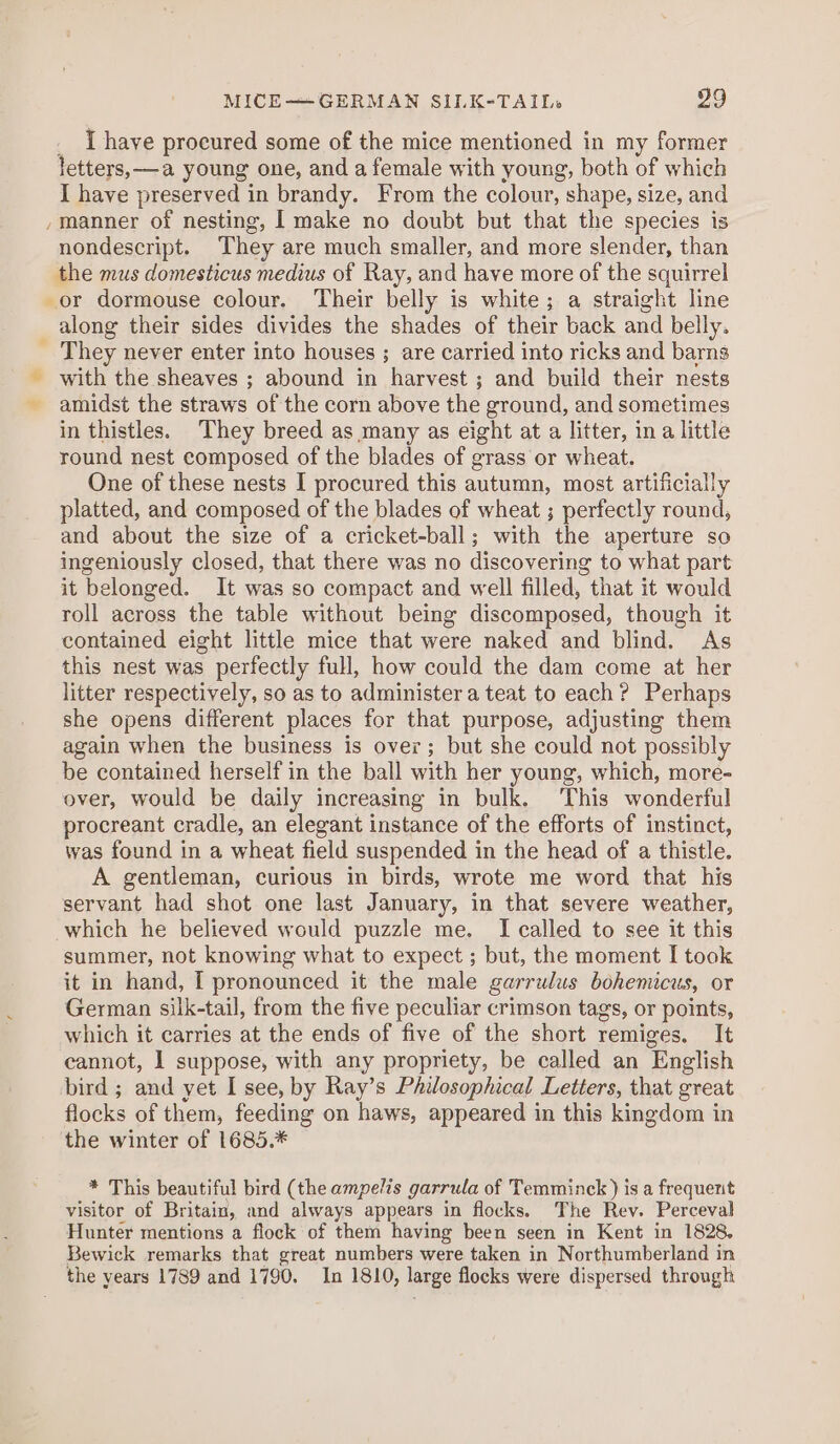I have procured some of the mice mentioned in my former letters, —a young one, and a female with young, both of which I have preserved in brandy. From the colour, shape, size, and /manner of nesting, I make no doubt but that the species is nondescript. They are much smaller, and more slender, than the mus domesticus medius of Ray, and have more of the squirrel or dormouse colour. Their belly is white; a straight line along their sides divides the shades of their back and belly. _ They never enter into houses ; are carried into ricks and barns with the sheaves ; abound in harvest ; and build their nests amidst the straws of the corn above the ground, and sometimes in thistles. They breed as many as eight at a litter, ina little round nest composed of the blades of grass or wheat. One of these nests I procured this autumn, most artificially platted, and composed of the blades of wheat ; perfectly round, and about the size of a cricket-ball; with the aperture so ingeniously closed, that there was no discovering to what part it belonged. It was so compact and well filled, that it would roll across the table without being discomposed, though it contained eight little mice that were naked and blind. As this nest was perfectly full, how could the dam come at her litter respectively, so as to administer a teat to each? Perhaps she opens different places for that purpose, adjusting them again when the business is over; but she could not possibly be contained herself in the ball with her young, which, more- over, would be daily increasing in bulk. ‘This wonderful procreant cradle, an elegant instance of the efforts of instinct, was found in a wheat field suspended in the head of a thistle. A gentleman, curious in birds, wrote me word that his servant had shot one last January, in that severe weather, which he believed would puzzle me. I called to see it this summer, not knowing what to expect ; but, the moment I took it in hand, [ pronounced it the male garrulus bohemicus, or German silk-tail, from the five peculiar crimson tags, or points, which it carries at the ends of five of the short remiges. It cannot, 1 suppose, with any propriety, be called an English bird; and yet I see, by Ray’s Philosophical Letters, that great flocks of them, feeding on haws, appeared in this kingdom in the winter of 1685.* * This beautiful bird (the ampelis garrula of Temminck ) is a frequerit visitor of Britain, and always appears in flocks. The Rev. Perceval Hunter mentions a flock of them having been seen in Kent in 1828, Bewick remarks that great numbers were taken in Northumberland in the years 1789 and 1790. In 1810, large flocks were dispersed through