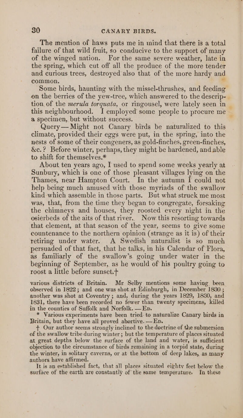 The mention of haws. puts me in mind that there is a total failure of that wild fruit, so conducive to the support of many of the winged nation. For the same severe weather, late in the spring, which cut off all the produce of the more tender and curious trees, destroyed also that of the more hardy and common. - Some birds, haunting with the missel-thrushes, and feeding en the berries of the yew-tree, which answered to the descrip-— tion, of the merula torquata, or ringousel, were lately seen in this neighbourhood. I employed some people to procure me a specimen, but without success. _ Query — Might not Canary birds be naturalized to this climate, provided their eggs were put, in the spring, into the nests of some of their congeners, as gold-finches, green-finches, &amp;c.? Before winter, perhaps, they might be hardened, and able to shift for themselves.* About ten years ago, I used to spend some weeks yearly at Sunbury, which is one of those pleasant villages lying on the Thames, near Hampton Court. In the autumn I could not help being much amused with those myriads of the swallow kind which assemble in those parts. But what struck me most was, that, from the time they began to congregate, forsaking the chimneys and houses, they roosted every night in the osierbeds of the aits of that river. Now. this resorting towards that element, at that season of the year, seems to give some countenance to the northern opinion (strange as it is) of their retiring under water. A Swedish naturalist is so much persuaded of that fact, that he talks, in his Calendar of Flora, as familiarly of the swallow’s. going under water in the beginning of September, as he would of his poultry going to roost a little before sunset. various districts of Britain. Mr Selby mentions some haying been observed in 1822; and one was shot at Edinburgh, in December 1830.; another was shot at Coventry ; and, during the years 1829, 1830, and 1831, there have been recorded no fewer than twenty specimens, killed in the counties of Suffolk and Norfolk. — En. * Various experiments have been tried- to naturalize Canary birds in Britain, but they have all proved abortive. — Ep. + Our author seems strongly inclined to the doctrine of the submersion of the swallow tribe during winter ; but the temperature of places situated at. great depths below the surface of the land and water, is sufficient objection to the circumstance of birds remaining in a torpid state, during the winter, in solitary caverns, or at the bottom of deep lakes, as many authors have affirmed. It is an established fact, that all places situated eighty feet below the surface of the earth are constantly of the same temperature. In these