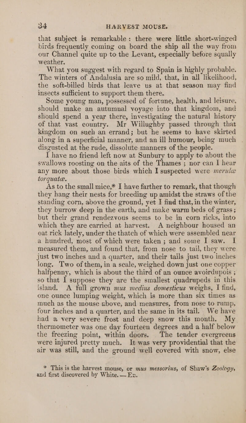 that subject is remarkable: there were little short-winged birds frequently coming on board the ship all the way from our Channel quite up to the Levant, especially before squally weather. What you suggest with regard to Spain is highly probable. The winters of Andalusia are:so mild, that, in all likelihood, the soft-billed birds that leave us at that season may find insects sufficient to support them there. Some young man, possessed of fortune, health, and leisure, should make an autumnal voyage into that kingdom, and should spend a year there, investigating the natural history of that vast country. Mr Willughby passed through that kingdom on such an errand; but he seems to have skirted along in a superficial manner, and an ill humour, being much disgusted at the rude, dissolute manners of the people. I have no friend left now at Sunbury to apply to about the swallows roosting on the aits of the Thames ; nor can I hear any more about those birds which I suspected were merule torquate. As to the small mice,* I have farther to remark, that though they hang their nests for breeding up amidst the straws of the standing corn, above the ground, yet I find that, in the winter, they burrow deep in the earth, and make warm beds of grass ; but their grand rendezvous seems to be in corn ricks, into which they are carried at harvest. A neighbour housed an eat rick lately, under the thatch of which were assembled near a hundred, most of which were taken ; and some I saw. I measured them, and found that, from nose to tail, they were just two inches and a quarter, and their tails just two inches long. Two of them, in a scale, weighed down just one copper halfpenny, which is about the third of an ounce avoirdupois ; so that I suppose they are the smallest quadrupeds in this island. A full grown mus medius domesticus weighs, I find, one ounce lumping weight, which is more than six times as much as the mouse above, and measures, from nose to rump, four inches and a quarter, and the same in its tail. We have had a very severe frost and deep snow this month. My thermometer was one day fourteen degrees and a half below the freezing point, within doors. The tender evergreens were injured pretty much. It was very providential that the air was still, and the ground well covered with snow, else * This is the harvest mouse, or mus messorius, of Shaw's Zoology, and first discovered by White. — En.