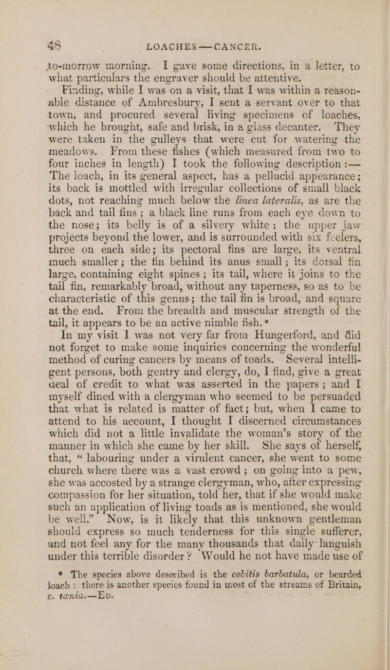 to-morrow morning. I gave some directions, in a letter, to what particulars the engraver should be attentive. Finding, while I was on a visit, that I was within a reason- able distance of Ambresbury, I sent a servant over to that town, and procured several living specimens of loaches, which he brought, safe and brisk, in a glass decanter. They were taken in the gulleys that were cut for watering the meadows. From these fishes (which measured from two to four inches in length) I took the following description :— The loach, in its general aspect, has a pellucid appearance ; its back is mottled with irregular collections of small black dots, not reaching much below the dinea lateralis, as are the back and tail fins ; a black line runs from each eye down to the nose; its belly is of a silvery white; the upper jaw projects beyond the lower, and is surrounded with six feelers, three on each side; its pectoral fins are large, its ventral much smaller; the fin behind its anus small; its dorsal fin large, containing eight spines ; its tail, where it joins to the tail fin, remarkably broad, without any taperness, so as to be characteristic of this genus; the tail fin is broad, and square at the end. From the breadth and muscular strength of the tail, it appears to be an active nimble fish. * In my visit I was not very far from Hungerford, and did not forget to make some inquiries concerning the wonderful method of curing cancers by means of toads. Several intelli- gent persons, both gentry and clergy, do, I find, give a great deal of credit to what was asserted in the papers; and I myself dined with a clergyman who seemed to be persuaded that what is related is matter of fact; but, when I came to attend to his aecount, I thought I discerned circumstances which did not a little invalidate the woman’s story of the manner in which she came by her skill. She says of herself, that, “ labouring under a virulent cancer, she went to some church where there was a vast crowd; on going into a pew, she was accosted by a strange clergyman, who, after expressing compassion for her situation, told her, that if she would make such an application of living toads as is mentioned, she would be well.” Now, is it likely that this unknown gentleman should express so much tenderness for this single sufferer, and not feel any for the many thousands that daily languish under this terrible disorder ? Would he not have made use of * The species above deseribed is the cobitis barbatula, or bearded loach: there is another species found in most of the streams of Britain, ce. tenta.—Eb.