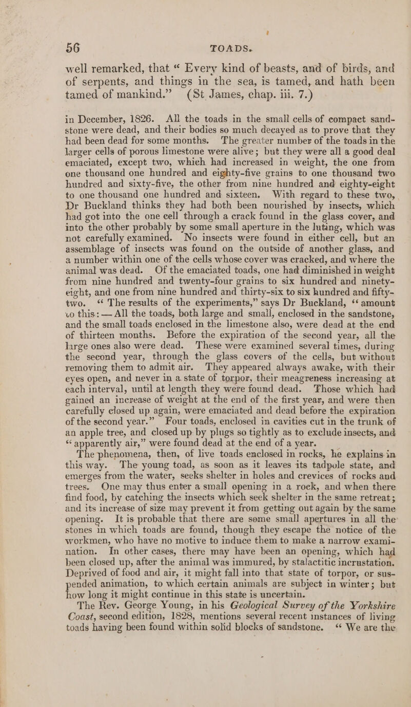 —_—- °° - well remarked, that “ Every kind of beasts, and of birds, and of serpents, and things in the sea, is tamed, and hath been tamed of mankind.” (St James, chap. iii. 7.) in December, 1826. All the toads in the small cells of compact sand- stone were dead, and their bodies so much decayed as to prove that they had been dead for some months. The greater number of the toads in the larger cells of porous limestone were alive; but they were all a good deal emaciated, except two, which had increased in weight, the one from one thousand one hundred and eighty-five grains to one thousand two hundred and sixty-five, the other from nine hundred and eighty-eight to one thousand one hundred and sixteen. With regard to these two, Dr Buckland thinks they had both been nourished by insects, which had got into the one cell through a crack found in the glass cover, and into the other probably by some small aperture in the luting, which was not carefully examined. No insects were found in either cell, but an assemblage of insects was found on the outside of another glass, and a number within one of the cells whose cover was cracked, and where the animal was dead. Of the emaciated toads, one had diminished in weight from nine hundred and twenty-four grains to six hundred and ninety- eight, and one from nine hundred and thirty-six to six hundred and fifty- two. ‘ The results of the experiments,” says Dr Buckland, ‘‘ amount vo this: — All the toads, both large and smail, enclosed in the sandstone, and the small toads enclosed in the limestone also, were dead at the end of thirteen months. Before the expiration of the second year, all the large ones also were dead. These were examined several times, during the second year, through the glass covers of the cells, but without removing them to admit air. They appeared always awake, with their eyes open, and never in a state of torpor, their meagreness increasing at each interval, until at length they were found dead. Those which had gained an increase of weight at the end of the first year, and were then carefully closed up again, were emaciated and dead before the expiration of the second year.” Four toads, enclosed in cavities cut in the trunk of an apple tree, and closed up by plugs so tightly as to exclude insects, and “apparently air,” were found dead at the end of a year. __ The phenomena, then, of live toads enclosed in rocks, he explains in this way. The young toad, as soon as it leaves its tadpole state, and emerges from the water, seeks shelter in holes and crevices of rocks and trees. One may thus enter a small opening in a rock, and when there find food, by catching the insects which seek shelter in the same retreat ; and its increase of size may prevent it from getting out again by the same opening. It is probable that there are some small apertures in all the stones in which toads are found, though they escape the notice of the workmen, who have no motive to induce them to make a narrow exami- nation. In other cases, there may have been an opening, which had been closed up, after the animal was immured, by stalactitic incrustation. Deprived of food and air, it might fall into that state of torpor, or sus- pended animation, to which certain animals are subject in winter; but how long it might continue in this state is uncertain. The Rev. George Young, in his Geological Survey of the Yorkshire Coast, second edition, 1828, mentions several recent instances of living toads haying been found within solid blocks of sandstone. ‘* We are the