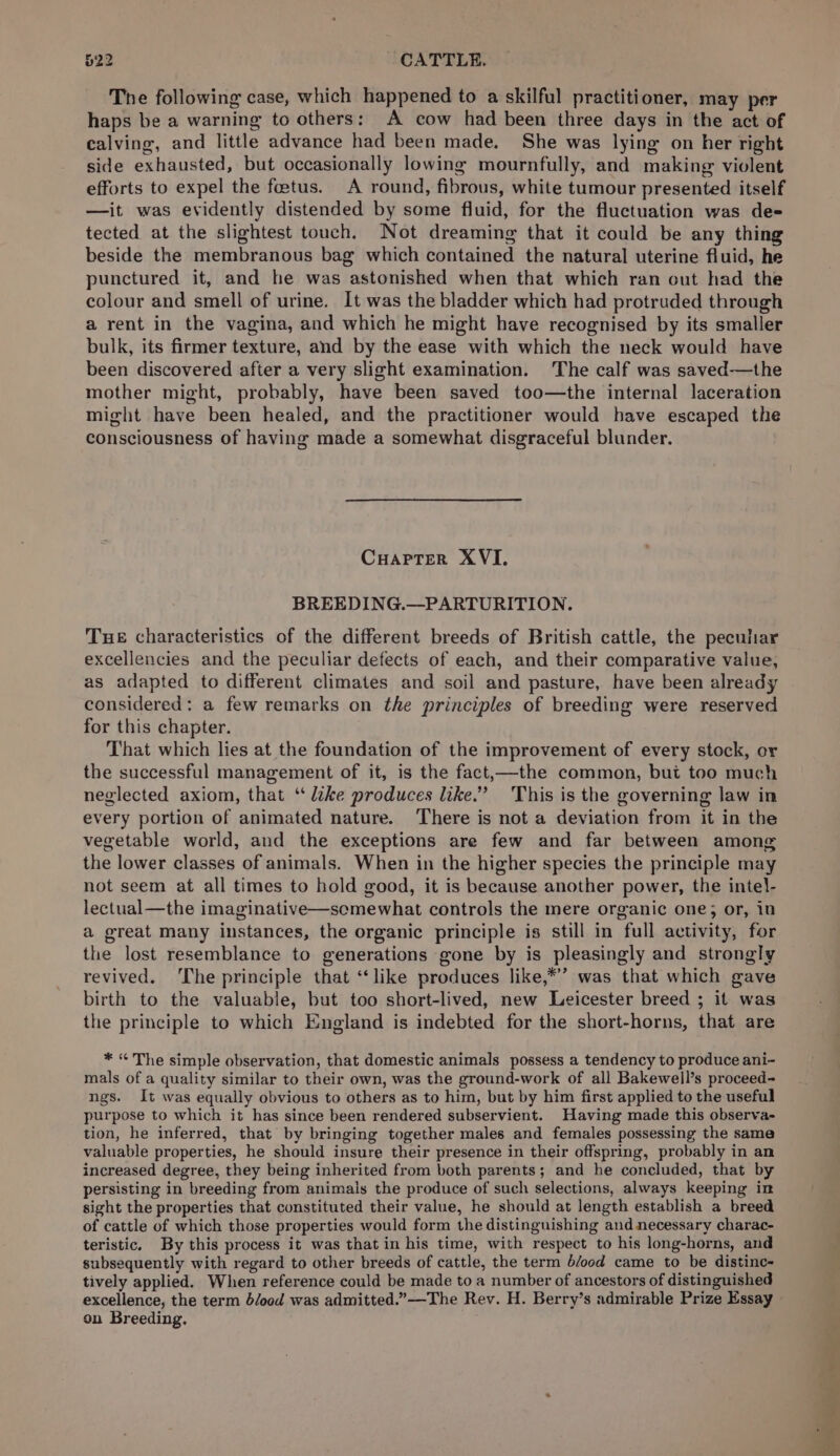 Tne following case, which happened to a skilful practitioner, may per haps be a warning to others: A cow had been three days in the act of calving, and little advance had been made. She was lying on her right side exhausted, but occasionally lowing mournfully, and making violent efforts to expel the fetus. A round, fibrous, white tumour presented itself —it was evidently distended by some fluid, for the fluctuation was de- tected at the slightest touch. Not dreaming that it could be any thing beside the membranous bag which contained the natural uterine fluid, he punctured it, and he was astonished when that which ran out had the colour and smell of urine. It was the bladder which had protruded through a rent in the vagina, and which he might have recognised by its smaller bulk, its firmer texture, and by the ease with which the neck would have been discovered after a very slight examination. The calf was saved-—the mother might, probably, have been saved too—the internal laceration might have been healed, and the practitioner would have escaped the consciousness of having made a somewhat disgraceful blunder. Cuapter XVI. BREEDING.—-PARTURITION. Tue characteristics of the different breeds of British cattle, the peculiar excellencies and the peculiar defects of each, and their comparative value, as adapted to different climates and soil and pasture, have been already considered: a few remarks on the principles of breeding were reserved for this chapter. That which lies at the foundation of the improvement of every stock, or the successful management of it, is the fact,—the common, but too much neglected axiom, that “ like produces like.” This is the governing law in every portion of animated nature. There is not a deviation from it in the vegetable world, and the exceptions are few and far between among the lower classes of animals. When in the higher species the principle may not seem at all times to hold good, it is because another power, the inte}- lectual—the imaginative—scmewhat controls the mere organic one; or, in a great many instances, the organic principle is still in full activity, for the lost resemblance to generations gone by is pleasingly and strongly revived. ‘The principle that “like produces like,*”’ was that which gave birth to the valuable, but too short-lived, new Leicester breed ; it was the principle to which England is indebted for the short-horns, that are * “ The simple observation, that domestic animals possess a tendency to produce ani- mals of a quality similar to their own, was the ground-work of all Bakewell’s proceed- ngs. It was equally obvious to others as to him, but by him first applied to the useful purpose to which it has since been rendered subservient. Having made this observa- tion, he inferred, that by bringing together males and females possessing the same valuable properties, he should insure their presence in their offspring, probably in an increased degree, they being inherited from both parents; and he concluded, that by persisting in breeding from animals the produce of such selections, always keeping in sight the properties that constituted their value, he should at length establish a breed of cattle of which those properties would form the distinguishing and necessary charac- teristic. By this process it was that in his time, with respect to his long-horns, and subsequently with regard to other breeds of cattle, the term b/ood came to be distinc- tively applied. When reference could be made to a number of ancestors of distinguished excellence, the term b/ood was admitted.”—-The Rev. H. Berry’s admirable Prize Essay on Breeding.