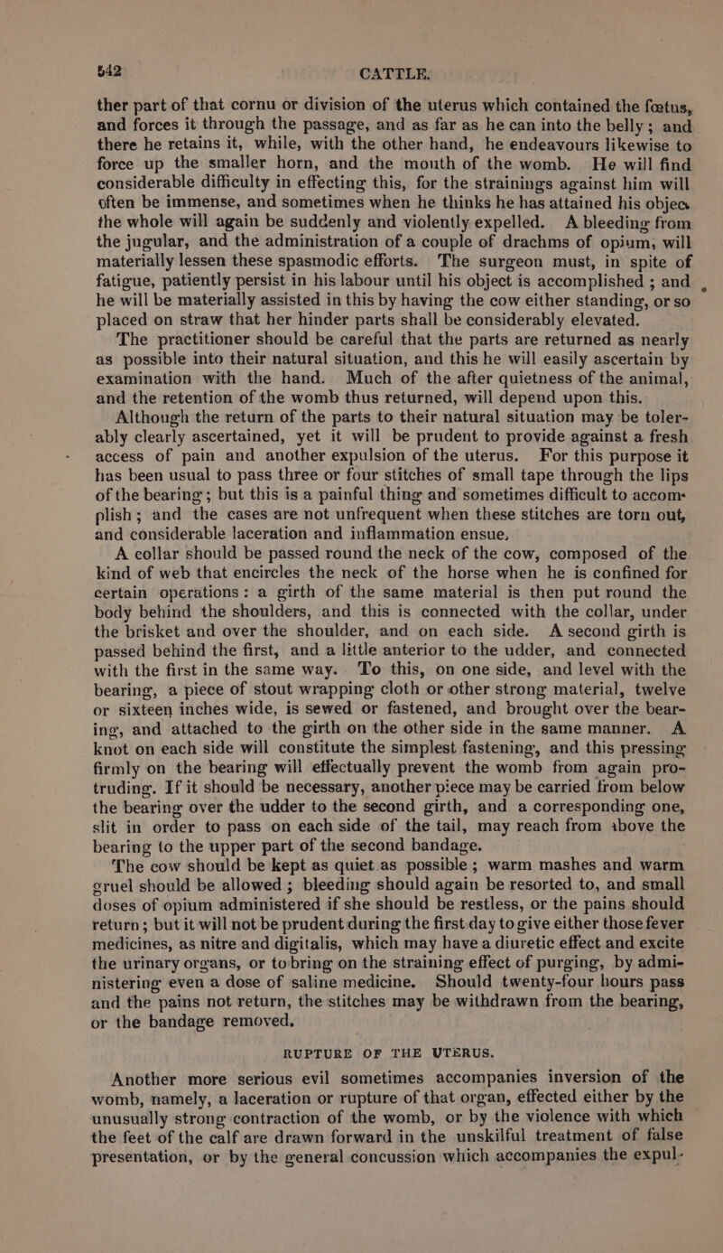 $42: CATTLE, ther part of that cornu or division of the uterus which contained the foetus, and forces it through the passage, and as far as he can into the belly; and. there he retains it, while, with the other hand, he endeavours likewise to force up the smaller horn, and the mouth of the womb. He will find considerable difficulty in effecting this, for the strainings against him will often be immense, and sometimes when he thinks he has attained his objea the whole will again be suddenly and violently expelled. A bleeding from the jugular, and the administration of a couple of drachms of opium, will materially lessen these spasmodic efforts. The surgeon must, in spite of fatigue, patiently persist in his labour until his object is accomplished ; and he will be materially assisted in this by having the cow either standing, or so placed on straw that her hinder parts shall be considerably elevated. The practitioner should be careful that the parts are returned as nearly as possible into their natural situation, and this he will easily ascertain by examination with the hand. Much of the after quietness of the animal, and the retention of the womb thus returned, will depend upon this. Although the return of the parts to their natural situation may be toler- ably clearly ascertained, yet it will be prudent to provide against a fresh access of pain and another expulsion of the uterus. For this purpose it has been usual to pass three or four stitches of small tape through the lips of the bearing; but this is a painful thing and sometimes difficult to accom: plish ; and the cases are not unfrequent when these stitches are torn out, and considerable laceration and inflammation ensue, A collar should be passed round the neck of the cow, composed of the kind of web that encircles the neck of the horse when he is confined for certain operations: a girth of the same material is then put round the body behind the shoulders, and this is connected with the collar, under the brisket and over the shoulder, and on each side. A second girth is passed behind the first, and a little anterior to the udder, and connected with the first in the same way. To this, on one side, and level with the bearing, a piece of stout wrapping cloth or other strong material, twelve or sixteen inches wide, is sewed or fastened, and brought over the bear- ing, and attached to the girth on the other side in the same manner. A knot on each side will constitute the simplest fastening, and this pressing firmly on the bearing will effectually prevent the womb from again pro- truding. If it should be necessary, another piece may be carried from below the bearing over the udder to the second girth, and a corresponding one, slit in order to pass on each side of the tail, may reach from above the bearing to the upper part of the second bandage. The cow should be kept as quiet.as possible; warm mashes and warm gruel should be allowed ; bleeding should again be resorted to, and small doses of opium administered if she should be restless, or the pains should return; but it will not be prudent during the first day to give either those fever medicines, as nitre and digitalis, which may have a diuretic effect and excite the urinary organs, or tobring on the straining effect of purging, by admi- nistering even a dose of saline medicine. Should twenty-four hours pass and the pains not return, the stitches may be withdrawn from the bearing, or the bandage removed. RUPTURE OF THE UTERUS. Another more serious evil sometimes accompanies inversion of the womb, namely, a laceration or rupture of that organ, effected either by the unusually strong contraction of the womb, or by the violence with which — the feet of the calf are drawn forward in the unskilful treatment of false presentation, or by the general concussion which accompanies the expul-