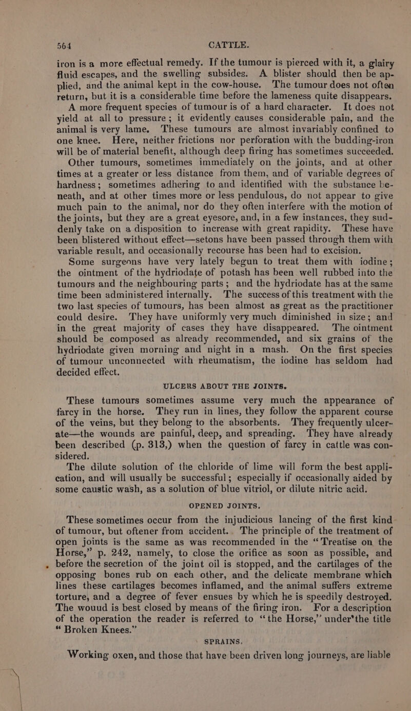 iron isa more effectual remedy. If the tumour is pierced with it, a glairy fluid escapes, and the swelling subsides. A blister should then be ap- plied, and the animal kept in the cow-house. The tumour does not often return, but it is a considerable time before the lameness quite disappears. A more frequent species of tumour is of a hard character. It does not yield at all to pressure ; it evidently causes considerable pain, and the animal is very lame. These tumours are almost invariably confined to one knee. Here, neither frictions nor perforation with the budding-iron will be of material benefit, although deep firing has sometimes succeeded. Other tumours, sometimes immediately on the joints, and at other times at a greater or less distance from them, and of variable degrees of hardness; sometimes adhering to and identified with the substance be- neath, and at other times more or less pendulous, do not appear to give much pain to the animal, nor do they often interfere with the motion of the joints, but they are a great eyesore, and, in a few instances, they sud- denly take on a disposition to increase with great rapidity. ‘These have been blistered without effect—setons have been passed through them with variable result, and occasionally recourse has been had to excision. Some surgeons have very lately begun to treat them with iodine; the ointment of the hydriodate of potash has been well rubbed into the tumours and the neighbouring parts; and the hydriodate has at the same time been administered internally. The success of this treatment with the two last species of tumours, has been almost as great as the practitioner could desire. They have uniformly very much diminished in size; and in the great majority of cases they have disappeared. The ointment should be composed as already recommended, and six grains of the hydriodate given morning and night in a mash. On the first species of tumour unconnected with rheumatism, the iodine has seldom had decided effect. ULCERS ABOUT THE JOINTS. These tumours sometimes assume very much the appearance of farcy in the horse. ‘They run in lines, they follow the apparent course of the veins, but they belong to the absorbents. They frequently ulcer~ ate—the wounds are painful, deep, and spreading. They have already been described (p. 313,) when the question of farcy in cattle was con- sidered. ‘ The dilute solution of the chloride of lime will form the best appli- cation, and will usually be successful; especially if occasionally aided by some caustic wash, as a solution of blue vitriol, or dilute nitric acid. OPENED JOINTS. These sometimes occur from the injudicious lancing of the first kind of tumour, but oftener from accident.. The principle of the treatment of open joints is the same as was recommended in the “Treatise on the Horse,” p. 242, namely, to close the orifice as soon as possible, and before the secretion of the joint oil is stopped, and the cartilages of the opposing bones rub on each other, and the delicate membrane which lines these cartilages becomes inflamed, and the animal suffers extreme torture, and a degree of fever ensues by which he is speedily destroyed. The wouud is best closed by means of the firing iron. For a description of the operation the reader is referred to ‘‘the Horse,’ under‘*the title * Broken Knees.” SPRAINS, Working oxen, and those that have been driven long journeys, are liable
