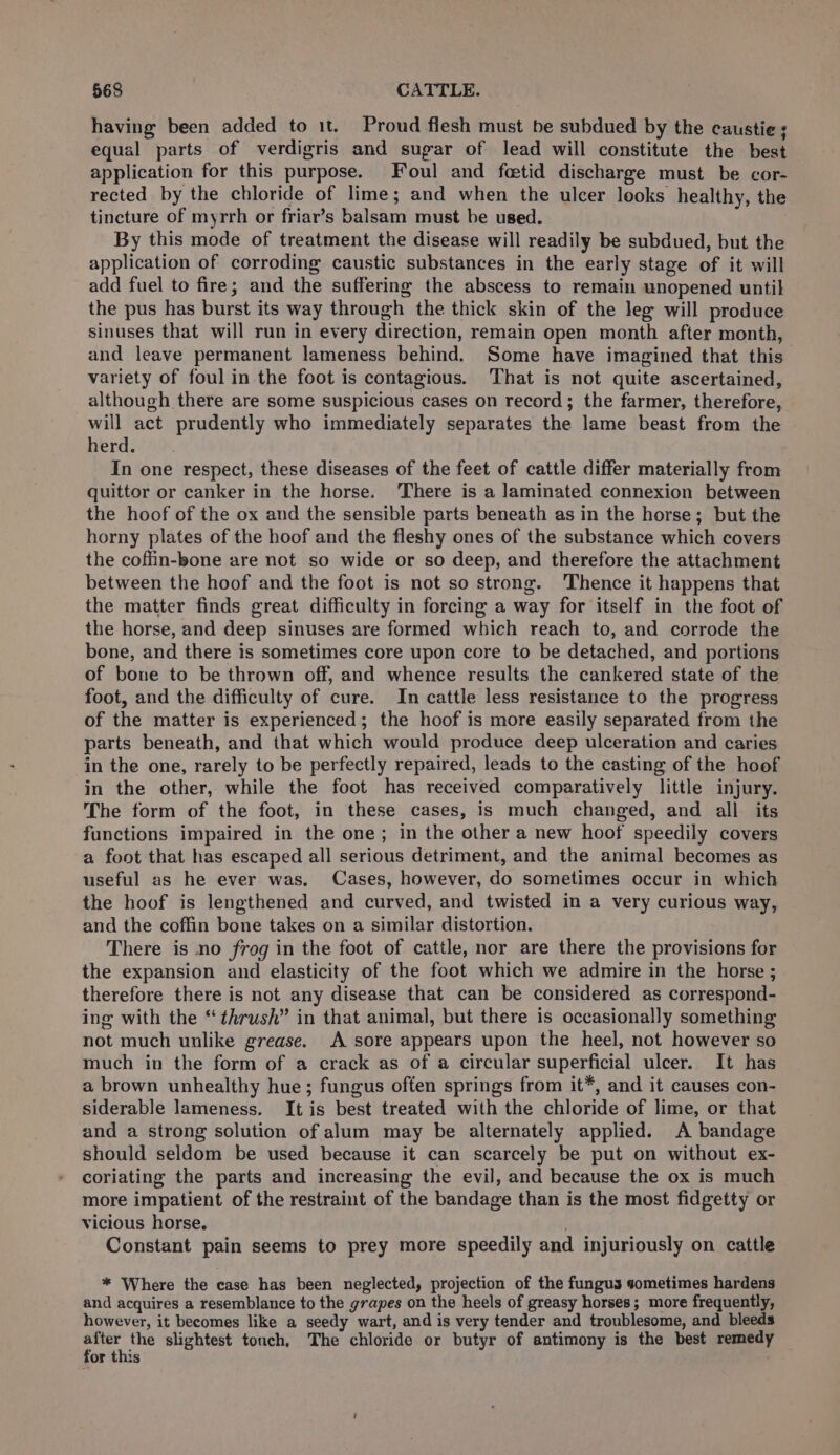 having been added to it. Proud flesh must be subdued by the caustie s equal parts of verdigris and sugar of lead will constitute the best application for this purpose. Foul and fetid discharge must be cor- rected by the chloride of lime; and when the ulcer looks healthy, the tincture of myrrh or friar’s balsam must be used. By this mode of treatment the disease will readily be subdued, but the application of corroding caustic substances in the early stage of it will add fuel to fire; and the suffering the abscess to remain unopened until the pus has burst its way through the thick skin of the leg will produce sinuses that will run in every direction, remain open month after month, and leave permanent lameness behind. Some have imagined that this variety of foul in the foot is contagious. That is not quite ascertained, although there are some suspicious cases on record; the farmer, therefore, will act prudently who immediately separates the lame beast from the herd. In one respect, these diseases of the feet of cattle differ materially from quittor or canker in the horse. There is a laminated connexion between the hoof of the ox and the sensible parts beneath as in the horse; but the horny plates of the hoof and the fleshy ones of the substance which covers the coffin-bone are not so wide or so deep, and therefore the attachment between the hoof and the foot is not so strong. Thence it happens that the matter finds great difficulty in forcing a way for itself in the foot of the horse, and deep sinuses are formed which reach to, and corrode the bone, and there is sometimes core upon core to be detached, and portions of bone to be thrown off, and whence results the cankered state of the foot, and the difficulty of cure. In cattle less resistance to the progress of the matter is experienced; the hoof is more easily separated from the parts beneath, and that which would produce deep ulceration and caries in the one, rarely to be perfectly repaired, leads to the casting of the hoof in the other, while the foot has received comparatively little injury. The form of the foot, in these cases, is much changed, and all. its functions impaired in the one; in the other a new hoof speedily covers a foot that has escaped all serious detriment, and the animal becomes as useful as he ever was. Cases, however, do sometimes occur in which the hoof is lengthened and curved, and twisted in a very curious way, and the coffin bone takes on a similar distortion. There is no frog in the foot of cattle, nor are there the provisions for the expansion and elasticity of the foot which we admire in the horse ; therefore there is not any disease that can be considered as correspond- ing with the “thrush” in that animal, but there is occasionally something not much unlike grease. A sore appears upon the heel, not however so much in the form of a crack as of a circular superficial ulcer. It has a brown unhealthy hue; fungus often springs from it*, and it causes con- siderable lameness. It is best treated with the chloride of lime, or that and a strong solution of alum may be alternately applied. A bandage should seldom be used because it can scarcely be put on without ex- coriating the parts and increasing the evil, and because the ox is much more impatient of the restraint of the bandage than is the most fidgetty or vicious horse. ; Constant pain seems to prey more speedily and injuriously on cattle * Where the case has been neglected, projection of the fungus sometimes hardens and acquires a resemblance to the grapes on the heels of greasy horses; more frequently, however, it becomes like a seedy wart, and is very tender and troublesome, and bleeds ant the slightest tonch, The chloride or butyr of antimony is the best remedy or this