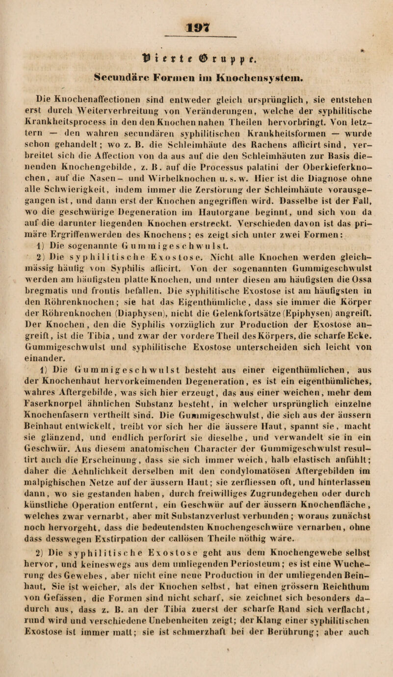 1»^ Secuiidäre Forjiien im Kiiocheiisy§itein. Die Kuochenaffectionen sind entweder {gleich ursprüng^lich, sie entstehen erst durch Weiterverbreitung von Veränderungen, welche der syphilitische Krankheitsprocess in den den Knochen nahen Theilen hervorbringt. Von letz¬ tem — den wahren secundären syphilitischen Krankheitsformen — wurde schon gehandelt; wo z. B. die Schleimhäute des Rachens allicirtsind, ver¬ breitet sich die Affection von da aus auf die den Schleimhäuten zur Basis die¬ nenden Knochengebilde, z. B. auf die Processus palatini der Oberkieferkno¬ chen, auf die Nasen- und Wirbelknochen u. s.w. Hier ist die Diagnose ohne alle Schwierigkeit, indem immer die Zerstörung der Schleimhäute vorausge¬ gangen ist, und dann erst der Knochen angegriffen wird. Dasselbe ist der Fall, wo die geschwürige Degeneration im Hautorgane beginnt, und sich von da auf die darunter liegenden Knochen erstreckt. Verschieden davon ist das pri¬ märe Ergritfenwerdeu des Knochens; es zeigt sich unter zwei Formen: 1) Die sogenannte G u in in i g e s c h w u 1 s t. 2) Die syphilitische Exostose. Nicht alle Knochen werden gleich- massig häufig von Syphilis aflicirt. Von der sogenannten Gummigeschwulst werden am häufigsten platte Knochen, und unter diesen am häuGgsten die Ossa bregmatis und frontis befallen. Die syphilitische Exostose ist am häuGgsten in den Röhrenknochen; sie hat das Eigenthümliciic, dass sie immer die Körper der Röhrenknochen (Diaphysen), nicht die Gelenkfortsätze (Epiphysen) angreift. Der Knochen , den die Syphilis vorzüglich zur Production der Exostose an¬ greift, ist die Tibia, und zwar der vordere Theil des Körpers, die scharfe Ecke. Gummigeschwulst und syphilitische Exostose unterscheiden sich leicht von einander. 1) Die Gummigeschwulst besteht aus einer cigenthiimlichen, aus der Knochenhaut hervorkeimendeii Degeneration, es ist ein eigenthümliches, wahres Aftergebilde, was sich hier erzeugt, dag aus einer weichen, mehr dem Faserknorpel ähnlichen Substanz besteht, in welcher ursprünglich einzelne Knochenfasern vertheilt sind. Die Gummigeschwulst, die sich aus der äiissern Beinhaut entwickelt, treibt vor sich her die äussere Haut, spannt sie, macht sie glänzend, und endlich perforirt sie dieselbe, und verwandelt sie in ein Geschwür. Aus diesem anatomischen Character der Gummigeschwulst resul— tirt auch die Erscheinung , dass sie sich immer weich, halb elastisch anfühlt; daher die Aehnlichkeit derselben mit den condylomatösen Aftergebilden im malpighischen Netze auf der äussern Haut; sie zerfliessen oft, und hinterlassen dann, wo sie gestanden haben, durch freiwilliges Zugrundegehen oder durch künstliche Operation entfernt, ein Geschwür auf der äussern Knochenfläche, welches zwar vernarbt, aber mit Substanzverlust verbunden ; woraus zunächst noch hervorgeht, dass die bedeutendsten Knochengeschwüre vernarben, ohne dass desswegen Exstirpation der callösen Theilc nöthig wäre. 2) Die syphilitische Exostose geht aus dem Knochengewebe selbst hervor, und keineswegs aus dem umliegenden Periosfeum; es ist eine Wuche¬ rung des Gewebes, aber nicht eine neue Production in der umliegenden Bein¬ haut, Sie ist weicher, als der Knochen selbst, hat einen grössern Reichthuni >on Gefässen, die Formen sind nicht scharf, sie zeichnet sich besonders da¬ durch aus, dass z. B. an der Tibia zuerst der scharfe Rand sich verflacht, rund wird und verschiedene Unebenheiten zeigt; der Klang einer syphilitischen Exostose ist immer matt; sie ist schmerzhaft bei der Berührung; aber auch