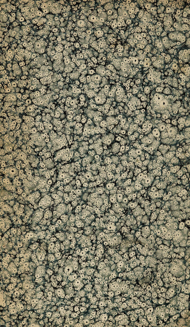 r'r ■S^V^^îw- Æ -t ■>' • • v,’'W[v»' -' /-'• ' ‘^^(Î&î'f. i SçZT*^ »■ ..-'‘’^F•^-r^'-'-’■'••n*<ltdi *^a* A - • “- • •Ær « •■**«■ •TPv • aShK^ SC • -*^ W*i*Ë