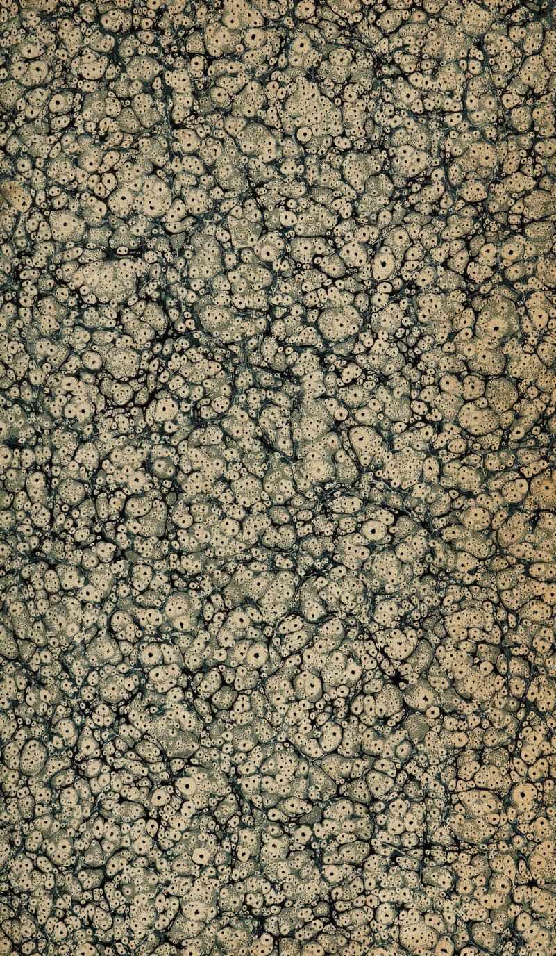 •jf • jt71 ' 4 ’■* ^ '^'S Ib^ wf v * * #