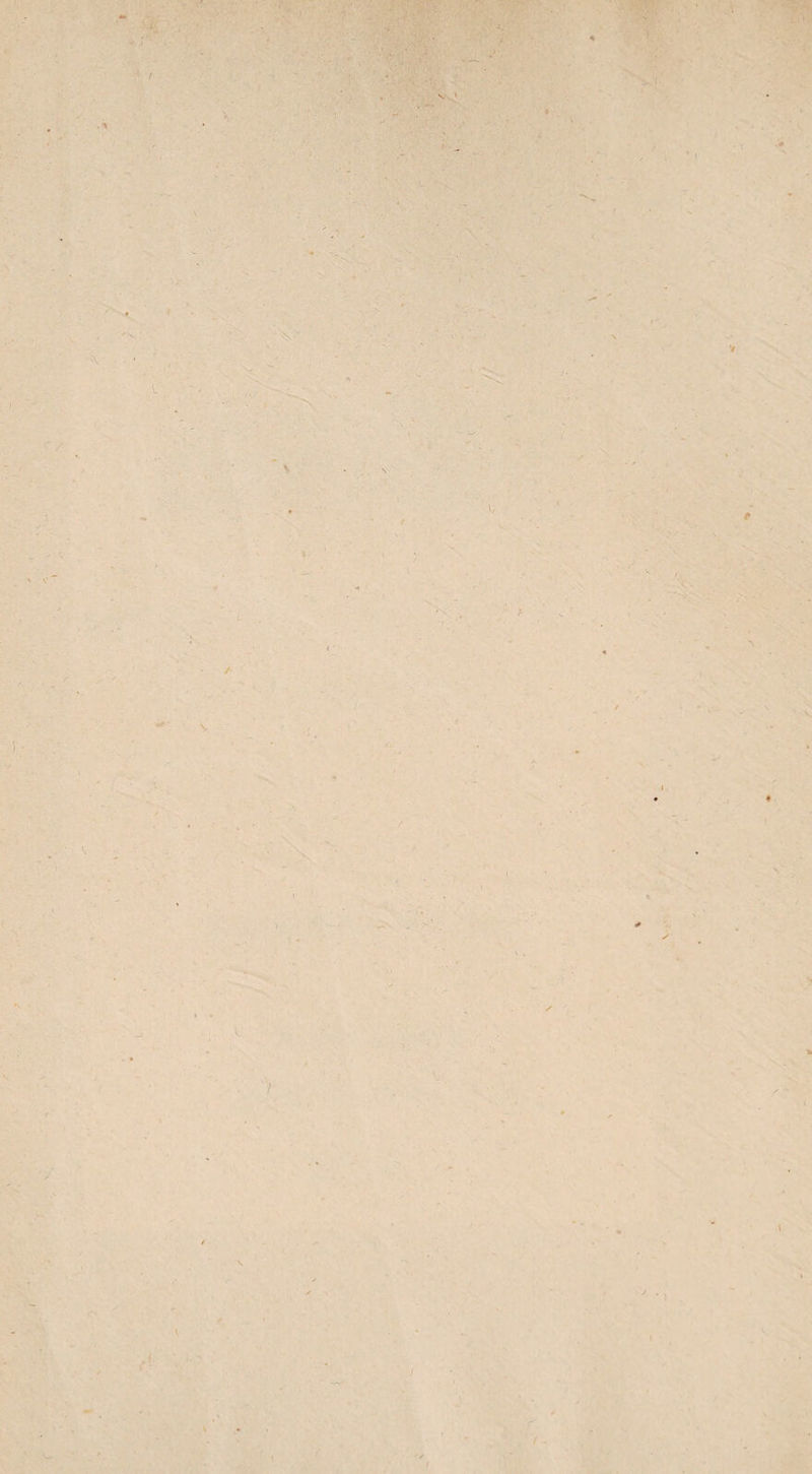 '• / X » rj. / ' < / ». ' » V '■teci ; \ '- v' ’ f- 7* <■ e « I • ( ^ / j ' V X •A ) / ^ l' '■/ \ '»\ I ( ) / . f.., •, y :* /