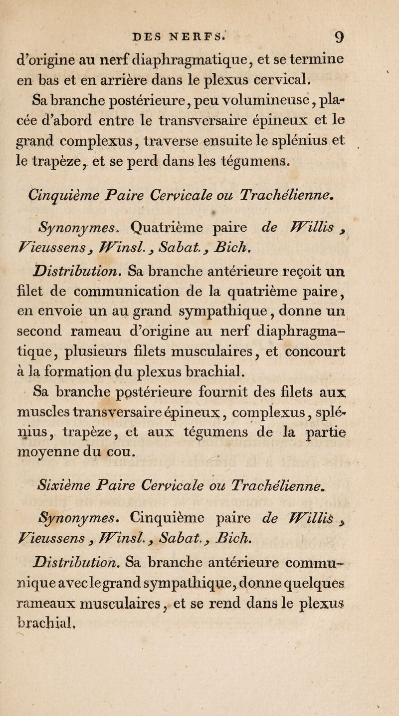 d’origine au nerf diaphragmatique, et se termine en bas et en arrière dans le plexus cervical. Sa branche postérieure, peu volumineuse ^ pla¬ cée d’abord entre le transversaire épineux et le grand complexus, traverse ensuite le splénius et le trapèze, et se perd dans les tégumens. Cinquième Paire Cervicale ou Trachélienne. Synonymes, Quatrième paire de Willis ^ Vieussensy TPinsl. ^ Sabaty Bich, Distribution, Sa branche antérieure reçoit un filet de communication de la quatrième paire, en envoie un au grand sympathique, donne un second rameau d’origine au nerf diaphragma¬ tique, plusieurs filets musculaires, et concourt à la formation du plexus brachial. • Sa branche postérieure fournit des filets aux muscles transversaire épineux, complexus, splé¬ nius, trapèze, et aux tégumens de la partie moyenne du cou. Sixième Paire Cervicale ou Trachélienne. Synonymes, Cinquième paire de W'ilUs ^ Vïeussens ^ TTinsl, ^ Sabat.^ Bich, Distribution, Sa branche antérieure commu¬ nique avec le grand sympathique, donne quelques rameaux musculaires, et se rend dans le plexus brachial.
