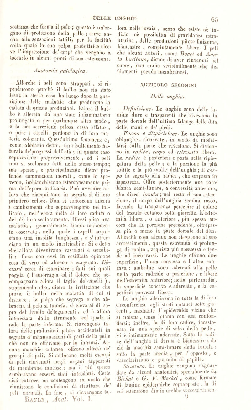 DELLE sostanza che forma iì pelo ; questo è un’or- gano (li protezione della pelle ; serve an- die alle sensazioni tallili# per la facilità colla quale la sua polpa produttrice rice- ve i’ impressione de’ corpi che vengono a toccarlo in alcuni punti di sua estensione. Anatomia patològica. Allorché i peli sono strappati , si ri- producono purché il bulbo non sia stato leso; la stessa cosa ha luogo dopo la gua- rigione delle malattie che producono la caduta di queste produzioni. Talora il bul- bo è alterato da uno stato infiammatorio prolungato o per qualunque altro modo , e la sua secrerdone pilosa cessa affatto , 0 pure i capelli perdono la di loro ma- teria colorante. Quest’ultimo fenomeno è5 come abbiamo detto , un risultamenlo na- turale de’progressi dell’età ; in questo caso sopravviene progressivamente , ed i peli non si scolorano tutti nello stesso tempo ; ma spesso j e principalmente dietro pro- fonde commozioni morali , come lo spa- vento, imbianchiscono istantaneamente pri- ma delTepoca ordinaria^ Può avvenire al- lora che riaequistono in seguito il di loro primiero colore. Non si conoscono ancora 1 cambiamenti che sopravvengono nel fol- licolo ^ nell’ epoca della di loro caduta o del di loro scoloramento. Dicesi plica una malattia , generalmente finora malamen- te osservata , nella quale i capelli acqui- stano una insolita lunghezza ^ e s’ intrec- ciano in un modo inestricabile. Si è detto che allora divenivano vascolari e sensibi- li : forse non evvi in cosiffatta opinione cosa di vero od almeno è esagerata. iBè~ clard cerca di esaminare i fatti sui quali poggia ( l’emorragia ed il dolore che ac- compagnano allora il faglio de’capelli ) , supponendo che, dietro la irritazione che prova il bulbo nella malattia di cui si discorre , la polpa che segrega e che ab- braccia il pelo si tumefà, si eleva al di so- pra del livello de’tegumeiiti , ed è allora interessata dallo strumento col quale si rade la parte inferma. Si rinvengono ta- lora delle produzioni pilose accidentali in seguito d’infiammazioni di parti della pelle che non ne offrivano per lo innanzi. Al- cune macchie cutanee offrono altresì de’ gruppi di peli. Si adducono molti esempi di peli rinvenuti negli organi tappezzati da membrane mucose ; ma il più spesso sembravano esservi stati introdotti. Certe cisti cutanee ne contengono in modo che riuniscono le condizioni di struttura de’ peli normali. In fine , si rinvengono ta- Bayle , Anat. Yol. !. UNGHIE 05 lora nelle ovaia , senza che esiste nè in- dizio nè possibilità di gravidanza estra- uterina , delle produzioni pilose finissime, biancastre , compiutamente libere. I peli che alcuni autori, come Bonct ed Anìa- to Lusitano, dicono di aver rinvenuti ne! cuore, non erano verisimilmente che dei filamenti pse udo-me m hran os i. ARTICOLO SECONDO Tìelle unghie.. Definizione. Le unghie sono delle la- mine dure e trasparenti che rivestono la parte dorsale dell’ultima falange delle dita delle mani e de’ piedi. Forma c disposizione. Le unghie sono oblunghe, ricurvate, in modo da model- larsi sulla parte che rivestono. Si divido- no in radice, corpo ed estremità libera. La radice è posteriore e posta nella ripie- gatura della pelle ; è la porzione la più sottile e la più molle dell’unghia; il cor-- po fa seguito alla radice , che sorpassa in ispessezza. Offre posteriormente una parte bianca semi-lunare, a convessità anteriore, che dicesi lunula ; nel resto di sua esten- sione , il corpo dell’unghia sembra roseo, facendo la trasparenza percepire il colore del tessuto cutaneo sotto-giacente. L’estre- mità libera , 0 anteriore , più spessa an- cora che la porzione precedente, oltrepas- sa più 0 meno la parte dorsale dei dito. Allorché cosa alcuna non si oppone al suo accrescimento, questa estremità si prolun- ga di molto , acquista più spessezza e ten- de ad incurvarsi. Le unghie offrono due superficie , 1’ una convessa e 1’ altra con- cava : ambedue sono aderenti alla pelle nella parte radicale o posteriore , e libere nell’estremità anteriore; nella parte media, la superficie concava è aderente , e la su- perficie convessa libera. Le unghie aderiscono in tutta la di loro circonferenza agli sfrati cutanei sotto-gia- centi , mediante 1’ epidermide vicina che si unisce , senza intanto con essi confon- dersi ; inoltre, la di loro radice, incasto- nata in una specie di solco della pelle , vi è intimamente aderente. Sotto la radi- ce deli’unghie il derma è biancastro; da ciò la mac('hia semi-lunare della lunula : sotto la parte media , per 1’ opposto , è vascolarissimo e guernlto di papille. Struttura. Le unghie vengono risgnar- date da alcuni anatomici, specialmente da BicJial e G. F. Meckcl , come formate di lamine epidermiche soprapposle , la di cui estensione diminuirebbe succcssivamen- 9