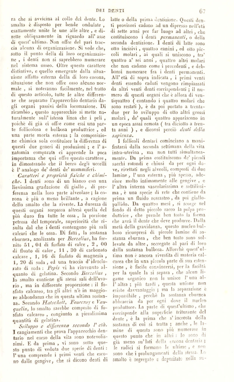 ra che si avvicina al collo del dente. Lo smalto è disposto per bende ondulate , esattamente unite le une alle altre , e di- rette obliquamente in riguardo all’ asse di quest’ ultimo. Non offre del pari trac- cia alcuna di organizzazione. Si vede che, sotto il punto della di loro organizzazio- ne , i denti non si saprebbero numerare nei sistema osseo. Oltre questo carattere distintivo, e quello emergente dalla situa- zione affatto esterna della di loro corona, situazione che non offre osso alcuno nor- male , si noteranno facilmente, nel tratto di questo articolo, tutte le altre differen- ze che separano l’apparecchio dentario da- gli organi passivi della locomazione. Di ricambio , questo apparecchio si mette na- turalmente sull’ istessa linea che i peli , poiché di già ci offre come essi una par- te follicolosa e bulbosa produttrice , ed una parte morta esterna ; la composizio- ne chimica sola costituisce la differenza di questi due generi di produzioni ; e 1’ a- natomìa comparata ci apprende la poca importanza che qui offre questo carattere , in dimostrando che il becco degli uccelli è l’ analogo de’ denti de’ mammiferi. Caratteri e proprietà fisiche c chimi- che. I denti sono di un bianco con una lievissima gradazione di giallo, di pre- ferenza nella loro parte alveolare ; la co- rona è più o meno brillante , a cagione dello smalto che la riveste. La durezza di questi organi sorpassa altresì quella del più duro fra tutte le ossa , la porzione petrosa del temporale, superiorità che ri- sulta dal che i denti contengono più sali calcari che le ossa. Di fatti, la sostanza eburnea, analizzata per Berzelius,hdi for- nito 51 , 04 di fosfato di calce , 2 , 00 di fluato di calce, 11 , 30 di carbonato calcare , 1, 16 di fosfato di magnesia , 1, 20 di soda, ed una traccia d’idrocìo- rato di soda : Pepis vi ha rinvenuto al- quanto di gelatina. Secondo Berreiius , lo smalto contiene gli stessi sali dell’avo- rio , ma in differente proporzione ; il fo- sfato calcareo, tra gli altri n’è in maggio- re abbondanza che in questa ultima sostan- za. Secondo Hatschett, Fourcroy e Vau- guelin, lo smallo sarebbe composto di fo- sfato calcareo , congiunto a piccolissima quantità di gelatina. Sviluppo e differenza secondo V dà. I cangiamenti che prova l’apparecchio den- tario nel corso della vita sono notevolis- simi. E da prima , vi sono sotto que- sto punto di veduta due specie di denti : 1’ una comprende i primi venti che esco- no dalie gengive, che si dicono denti di latte 0 della prima dentizione. Questi den- ti provisorì cadono ad un dipresso neil’efà di sette anni per far luogo ad altri, che costituiscono i denti permanenti, o delia seconda dentizione. I denti di latte sono otto incisivi , quattro canini , ed otto pic- coli molari , ai quali si uniscono , tra’ quattro a’ sei anni , quattro altri molari che non cadono come i precedenti , e deb- bonsi numerare fra i denti permanenti. All’età di sopra indicata , i primi venti denti essendo caduti vengono rimpiazzati da altri venti denti corrispondenti ; il nu- mero di questi organi che è allora di ven- tiquattro ( contando i quattro molari che sono restati ), è da poi portato a trenta- due per lo sviluppo di otto altri grossi molari , de’ quali quattro appariscono in un epoca assai remota ( tra diciotlo a tren- ta anni ) , e diconsì perciò denti della sapienza. 1 follicoli dentari cominciano a mani- festarsi dalla seconda settimana della vita intra-uterina , ma non tutti simultanea- mente. Da prima costituiscono de’ piccoli sacelli rotondi e chiusi da per ogni do- ve, ricettati negli alveoli, composti di due lamine , l’ una esterna , più spessa, ade- risce molto intimamente alle gengive , e r altra interna vascolarissima e sottilissi- ma , è una specie di rete che contiene da prima un fluido rossastro , da poi giallo- jiallido. Da quattro mesi , si scorge nel fondo di detto piccolo sacco la polpa itro~ duttrice , che prende ben tosto la lorma clic avrà il dente clic deve produrre. Dalla metà della gravidanza, questo nucleo bul- boso rìcuopresi di piccole lamine di so- stanza eburnea , che ben tosto sono sol- levate da altre, sccregate al pari di loro dalla sostanza bulbosa. Allorché quest’ul- tima non é ancora rivestita di materia cal- carea che in una piccola parte di sua esten- sione , è facile convincersi, per la faciltà per la quale la si separa , che alcun li- game organico non le unisce F una al- F altra ; più fardi , questa unione non esiste davvantaggio ; ma la separazione è impossibile , perché la sostanza eburnea cabbraccia da per ogni dove il nucleo prixluttore. La parte di quest’ultimo, che corrisponde alla superficie triturante de! dente , é la prima che s’ incrosta della sostanza di cui si tratta ; anche , le la- mine di questa sono più numerose in questo punto che in alfri : Io sono di già meno su’ lali della corona dcrifariLÌ ; le radici si formano le ultime , e non sono che i prolungamenti della stessa. Lo smalto è segrega?!.) z dcposiialo nella su-