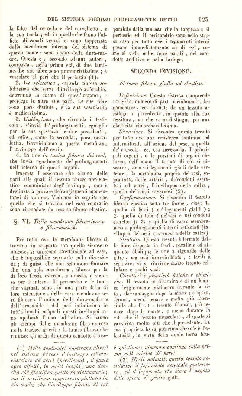 DEL SISTEMA FIBROSO PROPRIAMENTE DETTO la falce del cervello e del cervelletto , e la sua tenda ; ed in quelle che fanno l’of- ficio di canali venosi e sono tappezzate dalla membrana interna del sistema di questo nome : sono i seni della dura-ma^ dre. Questa è , secondo .alcuni autori , composta , nella prima età, di due lami- ne. Le sue fibre sono pronunciatissime j è vascolare al pari che il periostio (1). 2. La sclerotica , capsula fibrosa so- lidissima che serve d’inviluppo aU’occhio, determina la forma di quest’ organo , e protegge le altre sue parti. Le sue fibre sono poco distinte , e la sua vascolarilà è mediocrissima. 3. Valbuginea , che circonda il testi- colo , v’invia de* prolungamenti , eguaglia per la sua spessezza le due precedenti , ed cifre , come la seconda , poca vasco- larità. Ravviciniamo a questa membrana i’ inviluppo dell’ ovaio. 4. In fine la tunica fibrosa dei renì^ che invia egualmente de’ prolungamenti nell’ interno di questi organi. Importa 1’ osservare che alcuna delle parti alle quali il tessuto fibroso non ela- stico somministra degl’ inviluppi , non è destinata a provare de’cangiamenti momen- tanei di volume. Vedremo in seguito che quelle che si trovano nel caso contrario sono circondate da tessuto fibroso elastico. §. VI, Delle membrane fibro-sierose e fibro-mucose. Per tutto ove le membrane fibrose si trovano in rapporto con quelle sierose o mucose, si uniscono strettamente ad esse, che è impossibile separarle colla dissezio- ne ; di guisa che non sembrano formare che una sola membrana , fibrosa per la di loro faccia esterna , e mucosa o siero- sa per 1’ interna. Il pericardio e le tuni- che vaginali sono , in una parte della di loro estensione , delle vere membrane se- ro-fibrose ; 1’ unione della dura-madre e dell’ aracnoide è del pari intimissima in tult’i luoghi ne’quali questi inviluppi so- no applicati 1’ uno sull’ altro. Si hanno gli esempi delle membrane fibro-mucose nella trachea-arteria ; la tunica fibrosa che riunisce gli archi di questo condotto è inse- (1) Molti anatomici numerano altresì nel sistema fibroso /’ inviluppo ccUulo- cascolare de' aerei {neerilemai) , il quale offre difatti, in molti luoghi , una den-^ sita che giustifica questo raceicinamento\ ma il neerilema rappresenta piuttosto la pia-madre che Vinviluppo fibroso di cui 125 parabile dalla mucosa che la tappezza ; il periostio ed il pericondrio sono nello stes- so caso per tutto ove i tegumenti interni posano immediatamente su di essi , co- me si vede nelle fosse nasali , nel con- dotto auditivo e nella laringe, SECONDA DIVISIONE. Sistema fibroso giallo od elastico. Definizione. Questo sistema comprende un gran numero di parli membranose, le- gamenlose , ec. formate da un tessuto a- nalogo al precedente , in quanto alla sua tessitura, ma che se ne distingue per una elasticità rimarchevolissima. Situazione. Si riscontra questo tessuto per tutto ove una resistenza continua od intermittente all’ azione del peso, a quella de’ muscoli, ec. era necessaria. I princi- pali organi , o le porzioni di organi che forma nell’ uomo il tessuto di cui si di- scorre , sono : i legamenti gialli delle ver- tebre , la membrana propria de’ vasi, so- prattutto delle arterie , de’condotti escre- tori ed aerei , 1’ inviluppo della milza , quello de’ corpi cavernosi (2). Conformazione. Si riscontra il tessuto fibroso elastico sotto tre forme , cioè: 1. quella di fasci ( ne’ legamenti gialli ) ; 2. quella di tubi ( ne’vasi e nei condotti escretori ); 3. e quella di sacco membra- noso a prolungamenti interni reticolati (in- viluppo de’corpi cavernosi e della milza). Struttura. Questo tessuto è formato dal- le fibre disposte in fasci , parallele od al- quanto obblique le une a riguardo delle altre , ma mai incrocicchiate , e facili a separare: vi si rinviene scarso tessuto cel- lulare e pochi vasi. Caratteri e proprietà fisiche e chimi- che. Il tessuto in disamina è di un bian- co leggiermente giallastro durante la vi- ta , davvantaggio dopo la morte ; è opaco, l'ermo , meno tenace e molto più esten- sibile che 1’ altro tessuto fibroso , più te- nace dopo la morte , e meno durante la vita che il tessuto muscolare , al quale si ravvicina molto più che il precedente. La sua proprietà fisica più rimarchevole è l’e- lasticità j in virtù della quale torna bru- é quistione : almeno e continuo colla pri- ma nell' origine de' nerei. (2) Negli animalij questo tessuto co- stituisce il legamento cercicale posterio- re , èd il legamento che cieca V unghia delle specie di genere gatti.