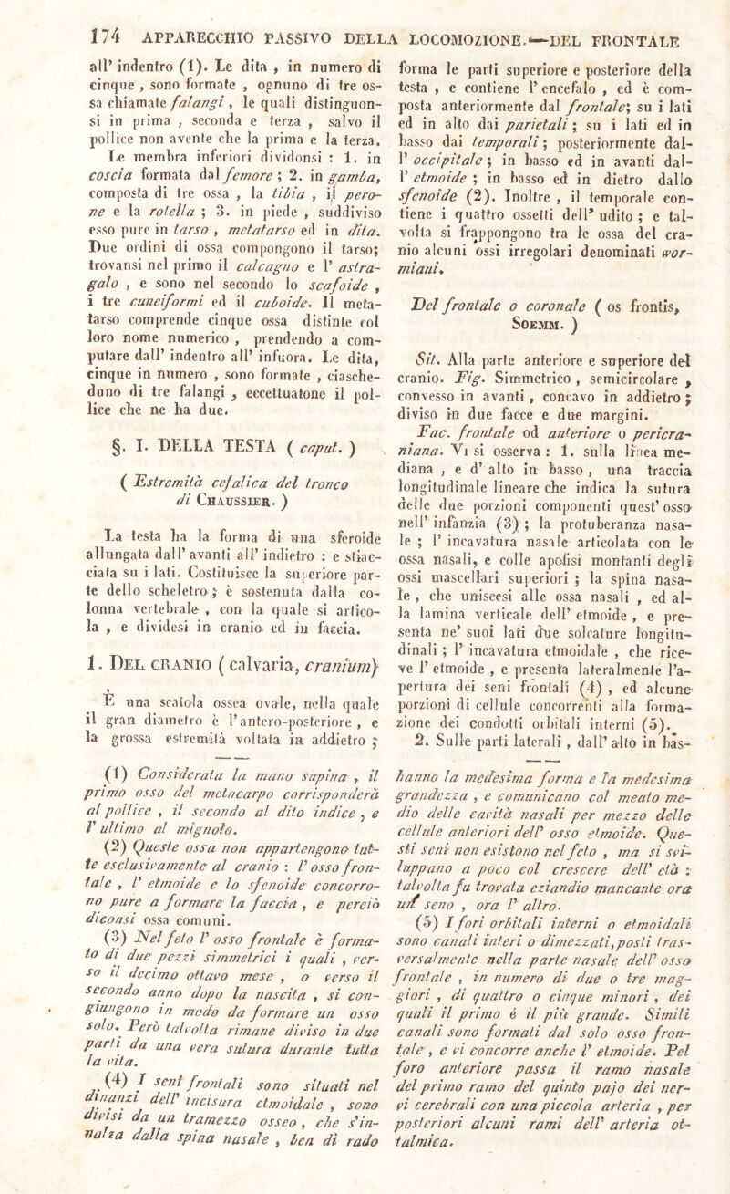 all’ indentro (1). Le dita * in numero di cinque , sono formate , ognuno di tre os- sa chiamale falangi , le quali distinguon- si in prima , seconda e terza , salvo il pollice non avente che la prima e la terza, I-e membra inferiori dividonsi : 1. in coscia formata dal femore ; 2. in gamba, composta di tre ossa , la tibia , i,l pero- ne c la rotella ; 3. in piede , suddiviso esso pure in tarso , metatarso ed in dita. Due ordini di ossa compongono il tarso; trovansi nel primo il calcagno e 1’ astra- galo , e sono nel secondo lo scafoide , i tre cuneiformi ed il cuboidc. 11 meta- tarso comprende cinque ossa distinte col loro nome numerico , prendendo a com- putare dall’ indentro all’ infuoca. Le dita, cinque in numero , sono formate , ciasche- duno di tre falangi , eccettuatone il pol- lice che ne ha due. §. I. DELLA TESTA ( caput. ) ( Estremità cefalica del tronco di Chaussier. ) La testa ha la forma di una sferoide allungata dall’avanti all’ indietro : e stiac- ciata su i lati. Costituisce la superiore par- te dello scheletro è sostenuta dalla co- lonna vertebrale , con la quale si artico- la , e dividesi in cranio ed in fascia. 1. Del cranio ( calvaria, craniunì) E una scatola ossea ovale, nella quale il gran diametro c l’antero-posteriore , e la grossa estremità voltata ia addietro ; 0) Considerata la mano supina il primo osso del metacarpo corrisponderà al pollice , il secondo al dito indice , e V ultimo al mignolo. (2) Queste ossa non apparf.engono tut- te esclusivamente al cranio: V osso fron- tale , /’ etmoide e lo sfenoide concorro- no pure a formare la faccia , e perciò di consi ossa comuni. (3) Nel feto V osso frontale e forma- to di due pezzi simmetrici i quali , ver- so il decimo ottavo mese , o verso il secondo anno dopo la nascila , si can- giungono In modo da formare un osso solo.^ Però talvolta rimane diviso in due parti da una vera sutura durante tutta la vita. j. J frontali sono situati nel amanti dell' incisura etmoidale , sono divisi da un tramezzo osseo , che s'^in- nuiza dalla spina nasale , ben di rado forma le parti superiore e posteriore della testa , e contiene l’encefalo , ed è com- posta anteriormente dal frontale', su i lati ed in allo dai parietali su i lati ed in basso dai temporali ; posteriormente dai- 1’ occipitale ; in basso ed in avanti dai- r etmoide ; in basso ed in dietro dallo sfenoide (2). Inoltre , il temporale con- tiene i quattro ossetti dell' udito ; e tal- volta si frappongono tra le ossa del cra- nio alcuni ossi irregolari denominali wor- mianì, Del frontale o coronale ( os fronlis, SOEMM. ) Sit. Alla parte anteriore e superiore del cranio. Fig. Simmetrico , semicircolare , convesso in avanti, concavo in addietro j diviso in due faa'e e due margini. Fac. frontale od anteriore o pericra~ ninna. Vi si osserva : 1. sulla linea me- diana , e d’ alto in basso , una traccia longitudinale lineare che indica la sutura delle d ue porzioni componenti quest’ osso nell’ infànzia (3) ; la protuberanza nasa- le ; r incavatura nasale articolata con le ossa nasali, e colle apafisi montanti degli ossi mascellari superiori ; la spina nasa- le , che uniseesi alle ossa nasali , ed al- la lamina verticale. delE etmoide , e pre- senta ne’ suoi lati due solcature longitu- dinali ; 1’ incavatura etmoidale , che rice- ve 1’ etmoide , e presenta lateralmente l’a- pertura dei seni frontali (4) , ed alcune porzioni di cellule concorrenti alla forma- zione dei condotti orbitali interni (5). 2. Sulle parti laterali, dall’ alto in hàs- hanno la medesima forma e la medesima grandezza , e comunicano col meato me- dio delle cavità nasali per mezzo delle cellule anteriori dell' osso etmoide. Que- sti seni non esistono nel feto , ma si svi- luppano a poco eoi crescere dell' età ;■ talvolta fu trovata eziandio mancante or et uìt seno , ora V altro. (i>) 1 fori orbitali interni o etmoidali sono canali interi o dimezzati, posti tras- versalmente nella parte nasale dell'ossa frontale , in numero di due o tre mag- giori , di quattro o cinque minori , dei quali il primo é il più grande. Simili canali sono formati dai solo osso fron- tale , e vi concorre anche d etmoide. Pel foro anteriore passa il ramo nasale del primo ramo del quinto pajo dei ner- vi cerebrali con una piccola arteria , per posteriori alcuni rami delV arteria ot- t al mie a.