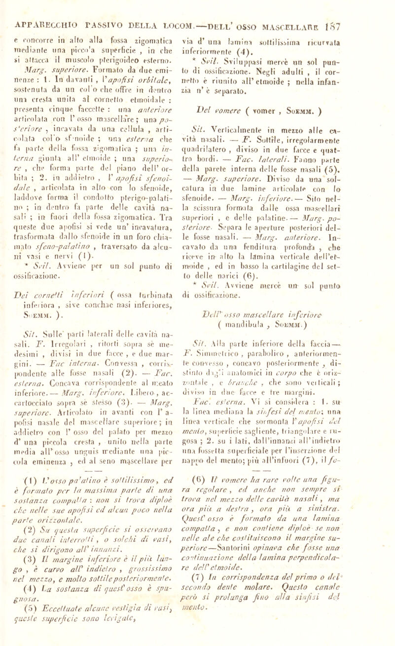 e roncorre in alto alla fossa zigomatica mediante una picco'a superficie , in che si attacca il muscolo ptcrigoideo esterno. Marg. superiore. Formato da due emi- nenze : 1. In davanti , Vapofisi orbitale, sostenuta da un col o che offre in dentro una cresta unita al cornetto etmoidale : presenta cinque faccette : una anteriore articolala con l’osso rnascella''re ; po- steriore , incavata da una cellula , arti- colata col o sf'noide ; una esteria che fa [)arte della fossa zigomatica ; una in- terna giunta all’ etmoide ; una superio- re , chi' forma parte del piano deli’ or- bita ; 2. in addietro , 1’ apofisi sfenoi- dnìe , articolata in allo con lo sfenoide, laddove forma il condotto pferigrepalati- in^ ; in dentro fa parte delle cavità na- sali ; in fuori della fossa zigomatica. Tra queste due apoOsi si vede un’ incavatura, trasformata dallo sfenoide in nn foro chia- mato sfeno-paìatino , traversato da alcu- ni vasi e nervi (!). * Sri/. Avvierae per un sol punto di ossificazione. Dei cornetti inferiori ( ossa furbi nata infeiiora , sive concliac nasi infeiiores, SiìEMM. ). Sit. Sulle parti laterali delle cavità na- sali. T\ Irregolati , ritorti sopra sè me- desimi , divisi in due facce , e due mar- gini. — Fac interna. Convessa , corris- pondente alle fosse nasali (2). — Far. esterna. Concava con!s()ondenie al meato inferiore.— Marg, iiferiorc. idbero , ac- cartocciato sopra sè stesso (3). — Marg. superiore. Articolato in avanti con T a- polisi nasale del mascellare superiore ; in addietro con 1’ osso del palato per mezzo d’ una piccola cresta , unito nella parte media all’osso unguis mediante una pic- cula eminenza , ed al seno mascellare per (0 Fofso palatino è sottilissima, ed è formato per la massima parte di una sostanza compatta : non si trova diploè. che nelle sue apofsi cd alcun poco nella parte orizzontale. (2) Su quest a superficie si osservano due canali interrotti , o solchi di vasi, che si dirigono all' innanzi. (3) Il margine inferiore è il più lun- go , è Curvo alV indietro , grossissimo nel mezzo, e molto sottile posteriormente. (4) La sostanza di quest' osso è spu- gnosa. (5) Eccettuate alcune vestigi a di vasi^ queste superficie sono levigate, via d’ una lamina .sottilissima ricurvata inferiormente (4). * Svil. Sviluppasi mercè un sol pun- to di ossificazione. Negli adulti , il cor- netto è riunito all’ etmoide ; nella infan- zia n’ è separato. Del vomere ( vomer , Soemm. ) Sit. Verticalmente in mezzo alle ca- vità nasali. — F. Sottile, irregolarmente quadrilatero , diviso in due facce e quat- tro bordi. —■ Fac. laterali. Fanno parte della parete interna delle fosse nasali (5), — Marg. superiore. Diviso da una sol- catura in due lamine articolale con lo sfenoide. — Marg. inferiore.— Silo nel- la scissura formata dalle ossa mascellari .superiori , e delle palatine-— Marg. po- steriore- Separa le aperture posteriori del- le fosse nasali. — Marg. anteriore. In- cavato da una fenditura profonda , che riceve in alto la lamina verticale dell’et- moide , ed in basso la cartilagine del set- to delle narici (6j. * Svil. Avviene mercè un sol punta di ossificazione. Deir osso mascellare inferiore ( raandibula ^ Soemm.) Sit. Alla parte inferiore delia faccia-— FA Siiiuueltico, parabolico, anteriormen- te convesso , concavo posteriormente ^ di- stinto d ig‘!i anatomici in corpo che è oriz- zontale , e branche , che sono verticali ; diviso in due facce e tre margini. Fac. esterna. Vi si considera : I. su la linea median-a la si/fesì del rnentu\ una linea verticale che sormonta Vapofsi del mento, su[)erlicie saglicnte, triangolare e lu- gosa ; 2. su i lati, daH’innanzi airindietro una fossetta superficiale per l’iiìserzione del nappo del mento; più all’infuori (7), il fa- (6) It vomere ha rare volle una figu- ra regolare , ed anche non sempre si trova nel mezzo delle cavUà nasali, ma ora più a destra , ora più a sinistra. Quest' osso è formato da una lamina compatta , e non contiene diploè se non nelle ale che costituiscono it margine su- periore—Sanlorini opinava che fosse una continuazione delia lamina perpendicola- re dell' etmoide. (7) In corrispondenza del primo o del’ secondo dente molare. Questo canale però si prolunga fino alla sinfisi del ine ìlio.