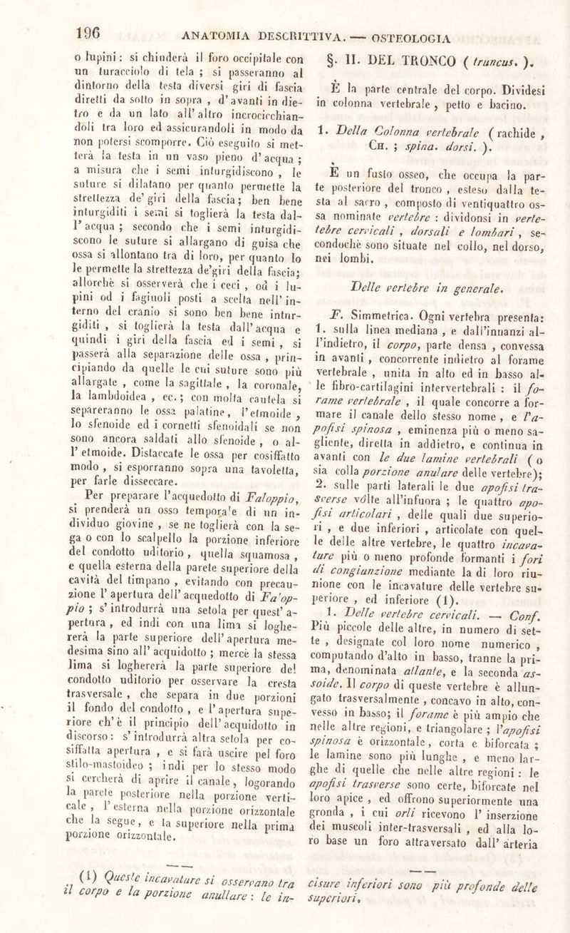 OSTEOLOGIA ANATOMIA DESCRITTIVA. 0 lupini ; si chiuderà il foro occipitale con un turacciolo di tela ; si passeranno al dintorno della testa diversi giri di fascia diretti da sotto in sopra , d’avanti in die- tro e da un lato all’altro incrocicchian- doli tra loro ed assicurandoli in modo da non potersi scomporre. Ciò eseguito si met- terà la testa in un vaso pieno d’acqua; a misura che i semi inturgidiscono , le suture si dilatano per quanto permette la strettezza de’giri della fascia; ben bene inturgiditi i semi si toglierà la testa dal- 1 acqua ; secondo che i semi inturgidi- scono le suture si allargano di guisa che ossa si allontano tra di loro, per quanto lo le permette la strettezza de’giri della fascia; allorché si osserverà che i ceci , od i lu- pini od i fagiuoli posti a scelta nell’in- terno del cranio si sono ben bene intur- giditi , si toglierà la testa dall’acqua e quindi i giri della fascia ed i semi , si passerà alla separazione delle ossa , prin- cipiando da quelle le cui suture sono più allargate , come la sagittale , la coronale, la lamhdoidea , ec. ; con molta cautela si separeranno le ossa palatine, l’efmoide , 10 sfenoide ed i cornetti sfenoidali se non sono ancora saldati alio sfenoide , o al- 1 etmoide. Distaccate le ossa per cosiffatto modo , si esporranno sopra una tavoletta, per farle disseccare. Per preparare l’acquedofto di Faloppìo, si prenderà un osso tempora'e di un in- dividuo giovine , se ne toglierà con la se- ga 0 con lo scalpello la porzione inferiore del condotto uditorio , quella squamosa , e quella esterna della parete superiore della cavità del timpano , evitando con precau- zione l’apertura dell’acquedotto di Fa'op- pio ; s’introdurrà una setola per quest’ a- pertura , ed indi con una lima si loghe- rerà la parte superiore dell’apertura me- desima Sino all acqu(dotto ; merce la stessa lima si loghererà la parte superiore de! condotto uditorio per osservare la cresta trasveisalc , che separa in due porzioni 11 fondo del condotto , e l’apertura supe- riore eh’è il principio dell’acquidotto in discorso, s intiodurra altra setola per co- siffatta apertura , e si farà uscire pel foro slllo-mastoideo ; indi per Io stesso modo SI cercherà di aprire il canale, logorando la paiete posteriore nella porzione verti- cale , 1 esterna nella porzione orizzontale che la segue, e ta superiore nella prima porzione orizzontale. (1) Queste ìneaeature si ossereano tra Il corpo e la porzione anullare : le in- §. II. DEL TRONCO ( truncus. ). E la parte centrale del corpo. Dividesi in colonna vertebrale , petto e bacino. 1. Fella Colonna vertebrale (rachide , Ch, ; spina, dorsi. ). « E un fusto osseo, che occupa la par- te posteriore del tronco , esteso dalla te- sta al sacro , composto di ventiquattro os- sa nominate vertebre : dividonsi in verte- tebre cervicali , dorsali e lombari , se- condochè sono situate nel collo, nel dorso, nei lombi. Felle vertebre in generale. F. Simmetrica. Ogni vertebra presenta: 1. sulla linea mediana , e dall’innanzi al- Tindietro, il corpo, parte densa , convessa in avanti , concorrente indietro al forame vertebrale , unita in alto ed in basso al- ' le fibro-cartilagini intervertebrali : il fo- rame vertebrale , il quale concorre a for- mare il canale dello stesso nome , e Va- pofisi spinosa , eminenza più o meno sa- glicnte, diretta in addietro, e continua in avanti con le due lamine vertebrali ( o sia colla porzione anulare delle vertebre); 2. sulle parti laterali le due apofisi tra- sverse vdlfe all’infuora ; le quattro apo- fisi articolari , delle quali due superio- ri , e due inferiori , articolate con quel- le delle altre vertebre, le quattro ijicava- ture più 0 meno profonde formanti i fori di congiunzione mediante la di loro riu- nione con le incavature delle vertebre su» periore , ed inferiore (1). .}' vertebre cervicali. — Conf. Più piccole delle altre, in numero di set- te , designate col loro nome numerico , computando d’alto in basso, tranne la pri- ma, denominata atlante, e la seconda as- soide. 11 corpo di queste vertebre è allun- gato trasversalmente , concavo in alto, con- vesso in basso; il forame è più ampio che nelle altre regioni, e triangolare ; Vapofisi spinosa è orizzontale, corta e biforcata ; le lamine sono più lunghe , e meno lar- ghe di^ quelle che nelle altre regioni ; le apofisi trasverse sono certe, biforcate nel loio apice , ed offrono superiormente una gronda , i cui orli ricevono 1’ inserzione dei muscoli inter-trasversali , ed alla lo- ro base un foro attraversato dall’ arteria cisure inferiori sono più profonde delle superiori.