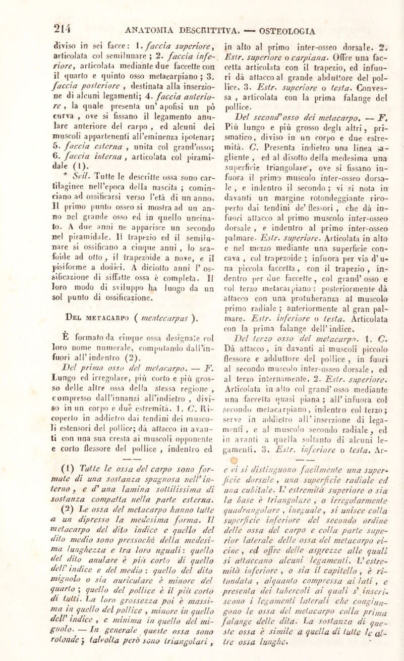 diviso in sei facce: \» faccia supcriore y aiiicolafa col semi lunare ; 2. faccia infe- riore y articolata mediante due faccette con il quarto e quinto osso metacarpiano ; 3. faccia posteriore , destinata alla inserzio- ne di alcuni legamenti; A. faccia anterio- re y la quale presenta un’ apofisi un pò curva , ove si fissano il legamento anu- lare anteriore del carpo , ed alcuni dei muscoli appartenenti all’eminenza ipotenar; 5. fnccia esterna , unita col grand’osso; 6. faccia interna , articolata col pirami- dale (1). ^ Scil. Tutte le descritte ossa sono car- tilaginee neil’epoca delia nascita ; comin- ciano ad ossificarsi verso l’età di un anno. Il primo punto osseo si mostra ad un an- no nel grande osso ed in quello uncina- lo. A due anni ne apparisce un secondo nel piramidale. Il trapezio ed il semilu- nare si ossificano a cinque anni , lo sca- foide ad otto ^ il trapezoide a nove, e il pisi forme a dodii i. A diciotto anni 1’ os- sificazione di siffatte ossa è completa. Il loro modo di sviluppo ha luogo da un sol punto di ossificazione. Del METACARPO ( mentecarpus ). E formato da ciiujue ossa designate col loro nome numerale, computando dall’in- fuori all’indentro (2). Del primo osso del metacarpo. — _F. Lungo ed irregolare, più corto e più gros- so delle altre ossa della stessa regione , compresso dall’innanzi airindielro , divi- sa in un corpo e due estremità. 1, C. Ili- coperto in addietro dai tendini dei musco- li estensori del pollice; dà attacco in avan- ti con lina sua cresta ai muscoli opponente e corto flessore del pollice , indentro ed (0 Tutte le ossa del carpo sono for- mate di una sostanza spugnosa nelT in- terno , e d’’ una lamina sottilissima di sostanza compatta nella parte esterna. (2) he ossa del metacarpo hanno tutte a un dipresso la medesima forma. Il metacarpo del dito indice c quello del dito medio sono pressoché della medesi- ma lunghezza e tra loro uguali' quello del dito anulare è più corto di quello dell' indice e del medio', quello del dito mignolo o sta aunculare è minore del quarto ; quello del pollice è il più corto di tutti. La loro grossezza poi e massi- ma in quello del pollice , minore in quello dell indice , e minima in quello del mi- gnolo. In generale queste ossa sono rotonde } iaU’olta però sono triangolari , in alto al primo infer-osseo dorsale. 2. Esir. superiore o carpiona. Offre una fac- cetta articolata con il trapezio, ed infuo- ri dà attacco al grande abduttore del pol- lice. 3. Dstr. superiore o testa. Conves- sa , articolata con la prima falange del pollice. Del second'osso dei metacarpo. — F. Più lungo e più grosso degli altri, pri- smatico, diviso in un corpo e due estre- mità. C. Presenta indietro una linea >a- gliente , ed al disotto della medesima una superficie triangolare, ove si fissano in- fuora il prima muscolo inter-osseo dorsa- le , e indentro il secondo ; vi si nota in davanti un margine rotondeggiante rico- perto dai tendini de’ flessori , che dà in- fuori attacco al primo muscolo inter-osseo dorsale , e indentro al primo infer-osseo palmare. Fstr. superiore. Articolata in alto e ne! mezzo mediante una superficie con- cava , co! trapezoide ; infuora per via d’u- na piccola faccetta , con il trapezio , in- dentro per due faccette, col grand’osso e col terzo metacaipiano : posteriormente dà attacco con una protuberanza ai muscolo primo radiale ; anteriormente al gran pal- mare. Dstr. inferiore o testa. Articolata con la prima falange dell’indice. Del terzo osso del metacarpo. 1. C. Dà attacco , in davanti ai muscoli piccolo flessore e adduttore del [)oIlice , in fuori al secondo muscolo inter-osseo dorsale, ed al terzo ini'ernamente. 2. Estr. superiore. Articolata inailo col grand’osso mediante una faccetta quasi piana; all’infuora col sccondu metacarpiano, indentro col terzo ; serve in addietro all’inserzione di lega- menti, c ai muscolo secondo radiale^ ed in avanti a quella soltanto di alcuni le- garneuli. 3. Eslr. inferiore o testa. Ar- o —. c i'i si distinguono facilmente una super- ficie dorsale , una superficie radiale ed una cuhìtale. U estremità supcriore o sia la base è triangolare , o irregolarmente quadrangolare , ineguale, si unisce colla superficie inferiore del secondo ordine delle ossa del carpo c colla parte supe- rior laterale delle ossa del metacarpo vi- cine , ed offre delle asprezze alle quali si attaccano alcuni legamenti. L'estre- mità inferiore , o sia il capitello , è ri- fondala , alquanto compressa ai Iati , c presenta dei tubercoli ai quali s' inserì., scono i legamenti laterali che conginfi^ gono le ossa del metacarpo colla prima falange delle dita. La sostanza di que- ste ossa è simile a quella di tutte le al- tre ossa lunghe.