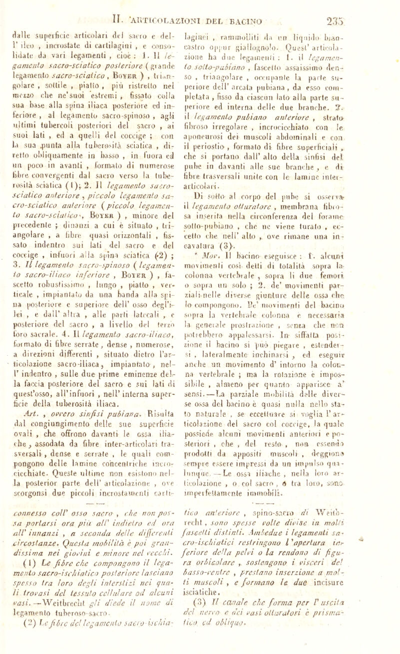 lì. ’AlVriCOLAZlONI DEL BACINO 23S fialle superficie articolari dei sairo e del- r ileo , incrostate di cattilagini , e conso- lidate da vari legaiiìenti , cioè: 1. li Ig- gamcnlo sacro-sciatico posfcriore ìegàinenlo sacro-sciatico , Buyer ) , goiare , sottile , piatto , più ristretto nel nu'izo che ne’suoi estrenri , fissato colla sua base alla suina iliaca posteriore ed in- teriore , al legamento sacro-spinoso , agli ultimi tubercoli posteriori del sacro , ai suoi lati , ed a quelli del coccige ; con ia sua .punta alla tuberosità sciatica , di- retto obliquamente in basso , in luora ed un poco in avanti , tormato di numerose hbre convergenti dal sacro verso la tul>e- rosilà sciatica (l); 2. Il legamento sacro- sciatico anteriore , piccolo legamento sa- cro-sciatico anteriore ( pìccolo legamen- to sacro-sciaileo', Boysr ) , minore del precedente ; dinanzi a cui è situato , tri- angolare , a libre quasi orizzontali , fis- sato indentro sui iati del sacro e del coccige , infuori .alla spina sciatica ('2) ; 3. Il legamento sacro-spinoso (^legamen- to sacro-iliaco inferiore , Boi’ER ) , fa- scelto robustissimo , lungo , piatto , ver- ticale , impiantato da una banda alla spi- na [losteriore e superiore dell’ osso degl’i- lei , e dall’ altra , alle prarti la teca li , e posteriore del sacro , a livello del ferzo loro sacrale. 4. Il legamento sacro-iliaco, formato di fibre serrate, dense , numerose, a direzioni differenti , situato dietro l’ar- ticolazione sacro-iliaca 5 impiantalo , nel- l’indentro , sulle due prime eminenze deir- la faccia posteriore del sacro e sui lati di quest’osso, all’infuori , nell’interna super- ficie della tuberosità iliaca. Art. , oeeero sinfisi pubiana. Risalta dal congiungimento delle sue superficie ovali , che offrono davanti le essa ilia- che ^ assodata da fibre infer-articolan tra- sversali , dense e serrate , le quali com- pongono delle lamine concentriche incio- cicchiale. Queste ultime non csistona nel- la poslerior parte dell’ atlicolazione , ove scorgonsi due piccoli incrostamenti carli connesso coll' osso sacro , che non pos- sa portarsi ora piu all' indietro ed ora all' innanzi , a seconda delle differenti circostanze. Questa mobilità è poi gran- dissima nei giaci ni e minore nel vecchi. (1) he fibre che compongono il lega- mento sacro-ischiatico posteriore lasciano spesso tra loro degli interstizi nei qua- li trovasi del tessuto cctlulars od alcuni vasi. — Weitbreclit gli diede il nome di legamento tuberoso-sacro- (2) Le fbic dellegamcnlo sacro isclna- lagiMci , rammoìiiti da cn liquido bian- caslfo oppnr giallognolo. Quest’ articola- zione ha due legaineiili ; 1. i! legamen- to sotto-pubi ano , fascefio assaissimo den- so , triangolare , occiqianle ia parte su- periore dell’arcata pubiana, da esso com- pletata , fisso da ciascun lato alla parte su- periore ed interna delle due branche. 2. il legamento pubiano anteriore , strato fibroso irregolare , incrocicchiato con le aponeurosi dei muscoli abdoininali e con ri periostio , lormato di fibre superficiali > che si portano dall’ alto della sinfisi del pube in davanti alle sue branche^ e ds libre trasversali unite con le. lamine inlei- a rii col a ri- Di sotto al corpo del pube si os.serva- li legamento otturatore , membrana fibro- sa inserita nella circonferenza del forame soflo-puhiano , che ne viene turalo , ec- cetto che nell’ alio , ove rimane una in- cavata ra (3}. * Mov. 11 bacino eseguisce : 1. alcuni movimenti cosi delti di totalità sopra la- colonna vertebrale , sopra li due femori o sopra un solo ; 2. de’ movimenti par- ziali nelle diverse giunture delle ossa che lo eompoligono. l?e’ movimenti del bacino ■sopra la vertebrale colonna e necessaria la geneiale proslr.izione , senza che non potrebbero a-ppalessarsi. In siffatta posi- zione il bacino si può piegare , estendei- ■si , lateralmente inchinar.si ^ ed eseguir anche un movimento d’ intorno la colon- na vertebrale ; ma ia rotazione è impos- sibile , almeno per quanto apparisce a’ sensi.—-La parziale mobiiit.ì delle diver- se ossa del bacino è quasi nulla nello sta- to naturale , se eccetlnare si voglia l’ar- ticolazione del sacro col coccige, la quale possiede alcuni movimenti anteriori e po- steriori , ohe , del resta , non essendo prodotti da appositi muscoli , dcggiona sempre essere impressi da un impulso qua- lunque.—Le oss-ì iliache, nella loro ar- ticolazione , o col sacro , 6 tra loro, sono impe 1 leItamcn te i mmobi 1 i, tico an'erlore , spino-s.acro di Weitb- rechl , sono spesse volte divise in molti jnscetti distìnti. Ambedue i legamenti sa- cro-ischiatici restringono l'apertura inr feri ore dctla pelvi o la rendono di figu- ra orbiaolare sostengono i visceri del basso-ventre , prestano inserzione a mol- ti muscoli , e formano le. due incisure isciatichc. (3) Il canale che forma per V uscita del nervo e dei vasi otturatori c prlstna- iiuo cd obliquo.