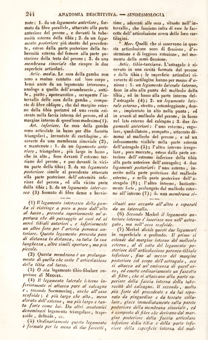 nule: \. legamento anteriorei for- mato da fibre parallele, attaccato alla parte anteriore del perone , e davanti la tube- rosità esterna della tibia ; 2. da un lega- mento posteriore più stretto del preceden- te, esteso dalla parte posteriore della tu- berosità esterna del femore alla parte po- steriore della testa del perone ; 3. da una membrana sinofiaìe che ricopre le due superficie articolari. Artic. media. Le ossa della gamba non sono a mutuo contatto col loro corpo , bensì unite da un legamento interosseo, analogo a quello dell’avambraccio, sotti- le , piatto , aponeurotico , occupante l’in- tervallo delle ossa della gamba , compo- sto di fibre oblique , che dal margine ester- no della tibia portansi ad una cresta esi- stente nella faccia interna del perone, ed al margine interno di quest’osso medesimo(l). Art. inferiore. Le ossa della gamba sono articolate in basso per dfie faccette triangolari , incrostate di cartilagine , ri- covcrle da una membrana sinoviale (2), e mantenute : 1. da un legamento ante- riore , triangolare , più largo in basso , che in alto , fisso davanti 1’ estremo tar- siano del perone , e pur davanti la vici- na parte della tibia; 2. da un legamento posteriore simile al precedente attaccato alla parte posteriore dell’estremità infe- riore del perone, ed alla vicina parte della tibia ; 3. da un legamento inter-os- seo (3) formalo di fibre dense e brevis- (1) Il legamento interasseo della gam- ba SI ristringe a poco a poco daW alto al basso , presenta superiormente ud a- pertura che dà passaggio ai casi ed ai aerei tibiali anteriori , c inferiormente un altro foro per V arteria perone a an- teriore. Questo legamento presenta pure di distanza in distanza, su tutta la sua lunghezza , altre simili aperture j ma più piccole. (2) Questa membrana è un prolunga- mento di quella che i>este V articolazione della tibia col tarso, (3) O sia legamento tibio-fibulare su- periore di Megk'el. (4) Il legamento laterale h.terno in- feriormente si attacca pure al calcagno e, secondo Soemmering, anche alPosso scafoide ; è più largo che alto , meno elevato delP esterno , ma più largo c tan- forte come lui. Uà altri anatomici denominasi legamento triangolare, trape- zoide , deltoide , cc. Drdinariarnente questo legamento e formato per lo meno di due fasceiti, sime, aderenti alle ossa , situato nell’in- tervallo, che lasciano infra di esse le fac- cette dell’articolazione sovra delle loro car- tilagini. * Moe. Quelli che si osservano in que- sta articolazione sono di flessione, d’e- stensione e di leggiera rotazione, nel mo- mento della semi-flessione. Artic. tibio-tarsiana. L’astragalo c ri- cevuto in una cavità formata dal perone e dalla tibia ; le superficie articolari ri- coverte di cartilagine hanno per mezzo d’u- nione : 1. un legamento laterale interno, fisso in alto alla punta del malleolo della tibia , ed in basso alla parte interna del- l’astragalo (4); 2. un legamento late- rale esterno , stretto , rotondeggiante , den- so , impiantato in allo nella punta , ed in avanti al malleolo del perone, in basso nel lato esterno del calcagno ; 3. due le^ gamenti anteriori ; 1’ uno esterno , rego- lare, quadrilatero , compatto , attaccalo di- nanzi al malleolo del perone , e ad un infossamento visibile nella parte esterna dell’astragalo (5) ; l’altro interno irrego- lare, poco marcalo, esteso dalla parte an- teriore dell’ estremo inferiore della tibia alla parte anteriore dell’astragalo ; 4. due legamenti posteriori', l’uno esterno, in- serito nella parte posteriore del malleolo , esterno , e nella parte posteriore dell’a- stragalo (6); l’altro interno, bastante- mente forte, prolungato dal malleolo ester- no all’interno (7); .S. una membrana si- situati uno accanto alP altro e separati da un intervallo. (6) Secondo Meckel il legamento an- teriore interno j’ inserisce non nelP astra- gato, ma nelV osso scafoide. (7) Meckel divide questi due legamenti in superficiale e profondo. Il primo si estende dal margine interno del malleolo esterno , al di sotto del legamento po- steriore delP articolazione peroneo-tibiale inferiore , fino al mezzo del margine posteriore col corpo delP astragalo , ove SI attacca ad urP eminenza di quesP os- so ^ ed emette ordinariamente un fascetta di fibre , che si attaccano alla parte su- periore della faccia interna della tube- rosità del calcagno. Il secondo , molto più jorte del precedente e da lui sepa- ralo da pinguedine e da tessuto cellu- lare , giace immediatamente sulla parete posteriore della membrana sinoviale , ed è composto di fibre che derivano dal mar- gine posteriore della faccia articolare inferiore della tibia e della parte infe- riore della superficie interna del mal-