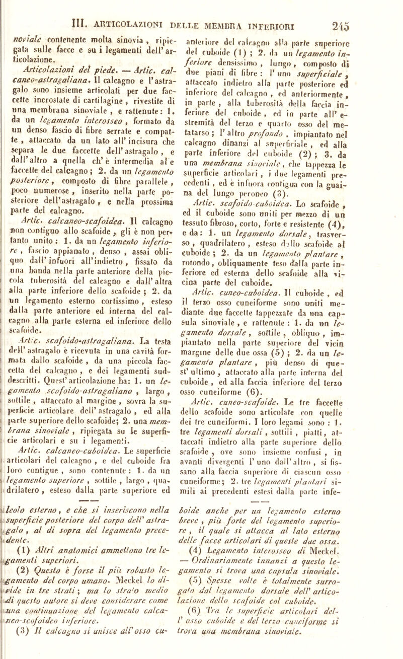 nofiale contenente molta sinovia , ripie- gata sulle facce e su i legamenti dell’ ar- ticolazione. Articolazioni del piede, ~ Artìc. cal- caneo-astragaliana, 11 calcagno e l’astra- galo sono insieme articolati per due fac- cette incrostate di cartilagine , rivestite di una membrana sinoviale , e raltenute; 1. da un legamento interosseo , formato da un denso fascio di libre serrate e compat- te , attaccato da un Iato all’ incisura che separa le due faccette dell’astragalo, e dall’altro a quella eh’è intermedia al e laccetfe del calcagno ; 2. da un legamento posteriore, composto di fibre parallele, poco numerose , inserito nella parte po- steriore dell’astragalo , e nella prossima parte del calcagno. Arlic. calcaneo-scafoidea. Il calcagno :j non contiguo allo scafoide ^ gli è non per» I tanto unito; 1. da un legamento inferio^ 1 re , fascio appianato , denso , assai obli- i' quo dall’infuori all’indielro , fissato da una banda nella parte anteriore della pie~ I cola tuberosità del calcagno e dall’ altra I alla parte inferiore dello scafoide ; 2. da I un legamento esterno cortissimo , esteso I dalla parte anteriore ed interna del cal- I cagno alla parte esterna ed inferiore dello ! sca Ioide. Artic. scafoido-astragaliana. La testa 1 dell’astragalo è ricevuta in una cavità for- 1 mata dallo scafoide , da una piccola fac- , cetta del calcagno , e dei legamenti sud- : descritti. Quest’articolazione ha; 1. un le- ! gamento scafoido-astragaliano , largo , i sottile , attaccato al margine , sovra la su- c perfide articolare dell’astragalo, ed alla [ parte superiore dello scafoide; 2. una mem- ! Irana sinoeiale , ripiegata su le superfi- : eie articolari e su i legamenti. Artic. calcaneo-cuòoidca. Le superficie I arli»;olari del calcagno , e del cuboidc fra ' loro contigue , sono contenute: 1. da un i legamento superiore , sottile , largo , qua- i drilatero , esteso dalla parte superiore ed yleolo esterno, e che si inseriscono nella \i superficie posteriore del corpo deW astra- ggalo , al di sopra del legamento prece- i dente. (1) Altri anatomici ammettono tre le- \y^gamenti superiori. (2) Questo è forse il più robusto le- viga mento del corpo umano. Meckel lo di- ffide in tre strati ; ma lo strato medio \\.di questo autore si deve considerare come ; una continuazione del legamento calca- il ueo-scofoideo i nferi ore. (3) Il calcagno si unisce all' osso cu- anteriore del calcagno alla parte superiore del cuboidc (I) ; 2. da un legamento in- feriore densissimo, lungo, composto di due piani di libre : I’ uno superficiale y attaccato indietro alla parte posteriore ed inferiore del calcagno , ed anteriormente , jn parte, alla tuberosità della faccia in- feriore del enboide , ed in parte all’ e- stremità del terzo e quarto osso del me- tatarso ; l’altro profondo , impiantato nel calcagno dinanzi al superficiale , ed alla parte inferiore del enboide (2) ; 3. da una membrana sinodale , che tappezza le superficie articolari , i due legamenti pre- cedenti , ed è infoora contigua con la guai- na del lungo peroneo (3). Artic. scafoido-cuhoidca. Lo scafoide , ed il cuboidc sono imiti per mezzo di un tessuto fibroso, corto, forte e resistente (4), e da : 1. un legamento dorsale^ trasver- so, quadrilatero, esteso djllo scafoide al cuboidc ; 2. da un legamento plantare , rotondo, obliquamente teso dalla parte in- feriore ed esterna dello scafoide alla vi- cina parte del cuboidc. Artic. cuneo-cuboidea. Il cubo-ide , ed il terzo osso cuneiforme sono uniti me- diante due faccette tappezzate da una cap- sula sinoviale , e rattenute : 1. da un le- gamento dorsale , sottile , obliquo , im- piantato nella parte superiore del vicin margine delle due ossa (5) ; 2. da un le- gamento plantare , più denso di que- st’ultimo, attaccato alla parte interna del cuboidc , ed alla faccia inferiore del terzo osso cuneiforme (6). Artìc. cuneo-scafoide. Le tre faccette dello scafoide sono articolate con quelle dei tre cuneiformi. 1 loro legami sono ; 1. tre legamenti dorsali , sottili , piatti, at- taccali indietro alla parte superiore dello scafoide , ove sono insieme confusi , in avanti divergenti l’uno dall’altro, si fis- sano alla faccia supcriore di ciascun osso cuneiforme; 2. tre legamenti plantari si- mili ai precedenti estesi dalla parte infc- boide anche per un legamento esterno breve , più forte del legamento supcrio- re , il quale si attacca al lato esterno delle facce articolari di queste due ossa. (4) Legamento interosseo di Meckel. — Ordinariamente innanzi a questo le- gamento si trova una capsula sinoviale. (5) Spesse volte è totalmente surro- gato dal legamento dorsale dell' artico- lazione dello scafoide col cuboide. (6) Tra le superficie articolari del- /’ osso cuboidc e del terzo cuneiforme sì trova una membrana sinoviale.