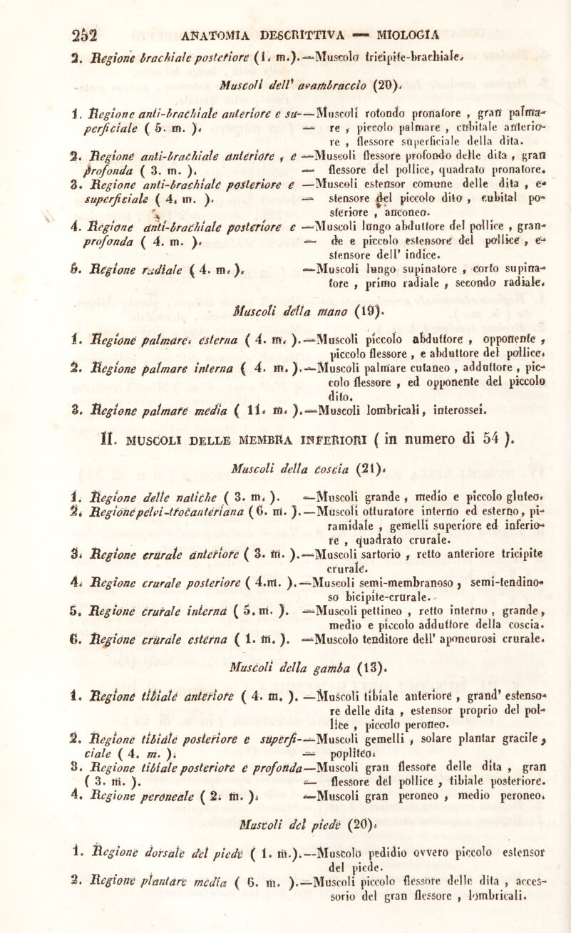 3. Regione brachialepostefìore (L m.).-“Mus€oìa frieipife-braebialc# Muscoli deìV avarnbraccio (20)<^ i. Regione anii-braCfilate anleriore e rofonefo pronatore , gran pafrrra^ pcrjiciale ( 5. m. )* re , piccolo palmare , ctfbltale arrterio- re , flessore superliciale della dita. 3. Regione anli-braChiate anteriore , e -^Museoli flessore profondo defle dita , gran profonda ( 3. m. ), — flessore del pollice, quadrato pronatore. 3. Regione anti-^brachiate posteriore e —Muscoli estensor convune delle dila , e- superfieiale ( 4, in. ). stensore ^el piccolo dito , eubital po* sfe riore , anconeo. 4. Regione dnti-braehiale posteriore e —^Muscoli lungo abduttore del pollice , gran-* profonda ( 4. m. de e piccolo estensore del po'llke , e-* sfensore dell’ indice. B. Regione radiale ( 4. m. ). -^Muscoli lungo supinatore , corto supina- tore f primo radiale , secondo radiale. Muscoli della mano (19)* i. Regione palmdrci esterna ( 4. tn. ).--“Muscoli piccolo abduttore , opponente ; piccolo flessore , e abduttore del pollice. 3. Regione palmare interna ( 4. m. ).—-Muscoli palmare cutaneo , adduttore , pic- colo flessore , ed opponente dei piccolo dito. 3. Regione palmare media ( 11* m* Muscoli lombricali, interossei. li. MÙSCOLI DELLE membRa ineeRiori ( in Dumero di 54 ). Muscoli detta Coscia (2t), 1. Regione delle natiche ( 3. m. ). ^Muscoli grande , medio e piccolo gluteo. 3* Regionepehi-troóantériana (6. m. ).—Muscoli otturatore interno ed esterno, pk ramidale , gemelli supcriore ed inferio- re , quadrato crurale. Regione eriirate anteriore ( 3. ffi. ).—Muscoli sartorio , retto anteriore tricipite crurale. 4i Regione crurale posteriore ( 4.m. ).—-Muscoli semi-membranoso j semi-lendino» so bicipite-crurale. 5. Regióne crurale interna (5,m. }* -—Muscoli pettineo , retto interno, grande, medio e piccolo adduttore della coscia. C. Regióne criirdle estèrna ( 1. m. ). —Muscolo tenditore dell’ aponeurosi crurale. Muscoli della gamba (13). 1. Regione tlbiatd anteriore ( 4. m. ). —Muscoli tibiale anterioré , grand’ estenso- re delle dita , estensor proprio del pol- lice , piccolo peroneo. 3, Regione tibiàìé posteriore e stiperfi—^Muscoli gemelli t solare piantar gracile ^ date 4. m. )i poplitCo. 8. Regione tibiale posteriore e prof arida—Muscoli gran flessore delle dita , gran ( 3. m. ). flessore del pollice , tibiale posteriore. 4. Regione peróne&le (2; lil. )i —Muscoli gran peroneo , medio peroneo. Mastoll del piede (20)4 1. Regione dorsale del piede ( 1. tìì.).—Muscolo pedidio ovvero piccolo eslensof del piede. 2. Regione plantare media ( 6. m. ).-^Muscoli piccolo flessore delle dita , acces- sorio del gran flessore , lombricali.