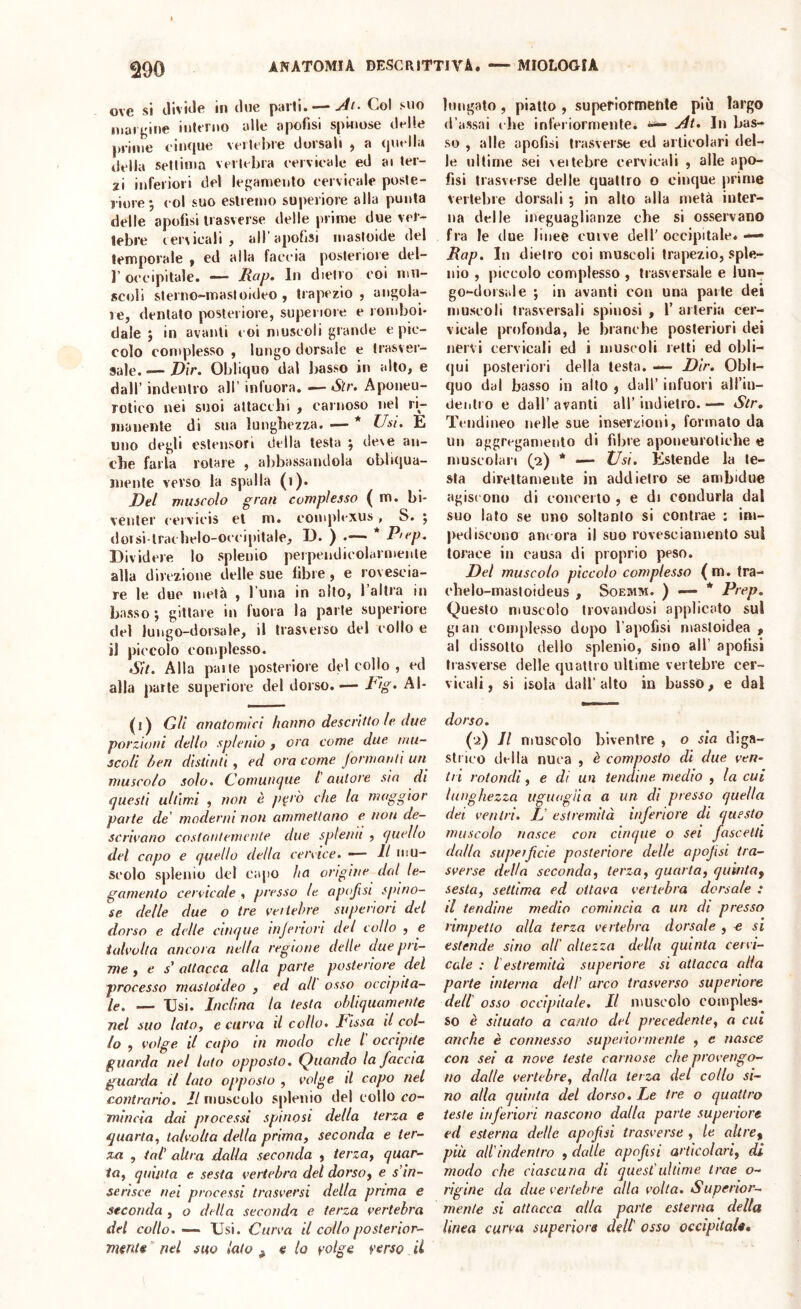 ove si tliviJe in due parli. — Ai. Col suo margine inlrrno alle apofisi spinose delle prime ciiK|ue vertebre dorsali $ a quella della sellinia vertebra cervicale ed ai ler- Zi inferiori del legamento cervicale poste- riore *, col suo estremo superiore alla punta delle apofisi trasverse delle prime due ver- tebre eei^icali , aH’apofjsi masloide del temporale , ed alla faccia posteriore del- r occipitale. — Rap, In dietro eoi mu- scoli sterno-masloideo , trapezio, angola- re, dentato posteriore, superiore e romboi- dale ; in avanti coi muscoli grande e pic- colo complesso , lungo dorsale e trasver- sale. — Dir. Obliquo dal basso in alto, e dall’ indentro all’ infuora. — Sìr. Aponeu- rotico nei suoi attacchi , carnoso nel ri- manente di sua lunghezza. — * Usi. E uno degli estensori della lesta ^ de\e an- che farla rotare , abbassandola obliqua- mente verso la spalla (i). Del muscolo gran complesso ( m. bi- veiiter cervicis et m. complexus, S. 5 doisi-lrachelo-occipitale, D. ) .— P'cp. Dividere lo splenio perpendicolarmente alla direzione delle sue libre, e rovescia- re le due metà , l una in allo, I altra in basso; gittare in fuora la parte superiore del lungo-dorsale, il trasverso del collo e il piccolo complesso. Sit. Alla pane posteriore del collo , ed alla parte superiore del dorso.— Fig. Al- (i) Gli anatomici hanno descritto le due porzioni dello splenio , ora come due mu- scoli ben distinti, ed ora come jonnanti un muscolo solo. Comuncjue l autore sia di questi ultimi , non è però che la maggior parte de' moderni non ammettono e non de- scrivano costantemente due splenii , (juello del capo e quello della cervice. —— R mu- scolo splenio del capo ha orìgine dal le- gamento cervicale , presso le. apojisi spino- se delle due o tre veitehre superiori del dorso e delie cinque injenori del collo , e talvolta ancora nella regione delle due pri- me ^ e s' attacca alla parte posteriore del processo mastotdeo , ed all osso occipita- le. — Usi. Inclina la testa ohliquamente nel suo loto, e curva d collo. Rissa il col- lo , volge il capo in modo che l occipite guarda nel luto opposto. (Quando la faccia guarda il lato opposto , volge il capo nel contrario. Il muscolo splenio del collo co- mincia dai processi spinosi della terza e quarta, talvolta della prima, seconda e ter- za , tal' altra dalla seconda , terza, quar- ta, quinta e sesta vertebra del dorso, e s’in- serisce nei processi trasversi della prima e seconda , o della seconda e terza vertebra del collo. ~ Usi. Curva il collo posterior- mente nel suo iato ^ e lo volge verso il bingato, piatto , supeflormeute più largo d’assai che inferiormenlei ^ At, In bas- so , alle apofisi trasverse ed articolari del- le nitirne sei veilebre cervicali , alle apo- fisi trasverse delle quattro o cinque prime Vertebre dorsali ; in alto alla metà inter- na delle ineguaglianze che si osservano fra le due linee cuive dell’occipitale.—> Rap. In dietro coi muscoli trapezio, sple- nio , piccolo complesso , trasversale e lun- go-dorsale ; in avanti con una parte dei muscoli trasversali spinosi , 1’ arteria cer- vicale profonda, le branche posteriori dei nervi cervicali ed i muscoli retti ed obli- (|ui posteriori della lesta. — Dir. Obli- quo dal basso in alto ) dall’ infuori all’iii- tleiiti o e dall’avanti all’indietro.— Str. Tendineo nelle sue inserzioni, formalo da un aggregamento di fibre aponeuroliehe e muscolari (*2) * — Usi. Estende la le- sta direttamente in addietro se ambidue agiscono di concerto , e di condurla dal suo lato se uno soltanto si contrae ; im- pediscono ancora il suo rovesciamento sul torace in causa di proprio peso. Del muscolo pìccolo complesso ( m. tra- ehelo-mastoideus , Soemm. ) — * Prep. Questo muscolo trovandosi applicato sul gian complesso dopo l’apofisi masloidea , al dissolto dello splenio, sino all’ apolisi liasverse delle quattro ultime vertebre cer- vicali, si isola dall’alto in basso, e dal dorso. (■2) Il muscolo bivenlre , o sia diga- strico della nuca , è composto di due ven- tri rotondi, e di un tendine, medio , la cui lunghezza iigiiugna a un di presso quella dei ventri. IJ estremità inferiore di questo muscolo nasce, con cinque o sei fascelti dalla supeificie posteriore delle apojisi tra- sverse della seconda, terza, quarta, quinta, sesta, settima ed ottava vertebra dorsale : il tendine medio comincia a un di presso rimpetlo alla terza vertebra dorsale , € si estende sino all' altezza della quinta cervi- cale : l'estremità superiore si attacca alla parte interna dell’ arco trasverso superiore dell osso occipitale. Il muscolo comples- so è situato a canto del precedente, a cui anche è connesso superiormente , e nasce con sei a nove teste carnose che provengo- no dalle vertebre, dalla terza del collo si- no alla quinta del dorso. Le tre o quattro teste inferiori nascono dalla parte superiore ed esterna delle apofisi trasverse , le altre, piu all'indentro , dalle apofisi ai'ùcolarì, dì modo che ciascuna di quest'ultime trae o- rìgine da due vertebre olla volta. Superior- mente si attacca alla parte esterna della linea curva superiore dell osso occipitale. I