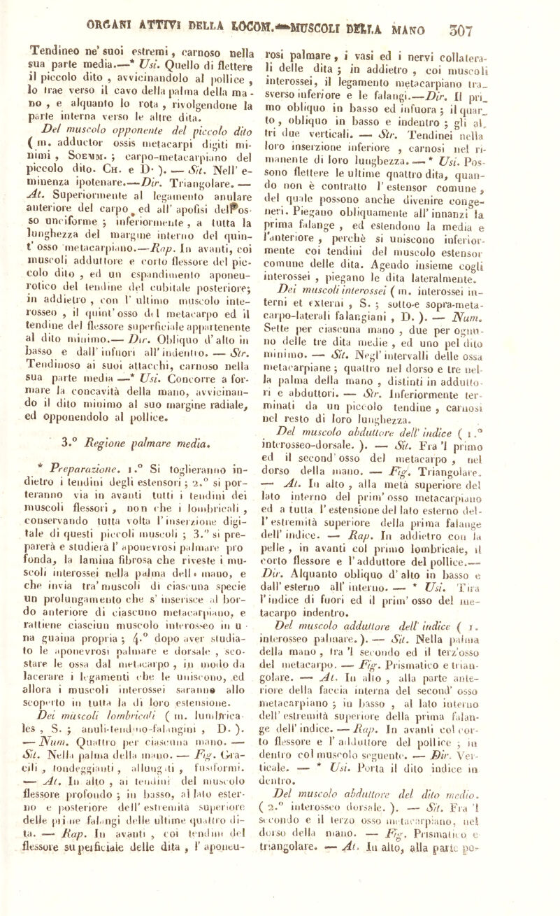 Tendineo ne’ suoi estremi, carnoso nella sua parte media—* Usi. Quello di flettere il piccolo dito , avvicinandolo al pollice , lo trae verso il cavo della palma della ma - no , e alquanto lo rota , rivolgendone la palle interna verso le altre dila. De! muscolo opponente del piccolo dito ( rn. adductor ossis metacarpi digiti mi- nimi , SoEviM. ; carpo-metacarpiano del piccolo dito. Ch. e D- ). — Sìt. Nell’ e- minenza ipolenare.—Z)ir. Triangolare. —- u4t. Superiormente al legamento anulare anteriore del carpo ^ ed all’apofisi dell^os- so uni'iforme j inferiormente , a tutta la lunghezza del margine interno del quin- t osso metacarpi.ino.—Rap. In avanti, coi muscoli adduttore e corto flessore del pic- colo dito , ed un espandimento aponeu- rotico del tendine ilei cubitale posteriore; in addietro , con 1’ ultimo muscolo inte- rosseo , il quiiil’osso dt 1 metacarpo ed il tendine del flessore supi'rficiale ap[);n tenente al dito minimo.— Dir. Obliquo d’alto in basso e dall’infuori all’indeiilio, — Str. Tendiuoso ai suoi attacchi, carnoso nella sua parte media —•* Usi. Concorre a for- niare la concavità della mano, avvicinan- do il dito minimo al suo margine radiale, ed opponendolo al pollice. 3.” Regione palmare media. * Preparazione, iSi toglieranno in- dietro i lendini degli estensori ; 2.° si por- teranno via in avanti tutti i tendini dei muscoli flessori , non che i lombricali , conservando tutta volta l’inserzione digi- tale di questi piccoli muscoli ; 3.’’ si pre- parerà e studierà 1’ aponevrosi palmai’c prò fonda, la lamina fibrosa che riveste i mu- scoli inlerossei nella palma dell» mano, e che invia tra’muscoli di ciascuna specie un prolungamento che s’ inserisce ,d bor- do anteriore di ciascuno melacarpiano, e rattiene ciasciun muscolo inleros>eo in u na guaina propria ; do|)o aver studia- to le aponevrosi palmare e dorsale , sco- stare le ossa dal metacarpo , in modo da lacerare i legamenti che le uniscono, ed allora i muscoli interossei saranne allo scoperto in tutta la di loro estensione. Dei muscoli lombricali ( rn. lumiri'ica- les , S. ; anuli-teiidmo-fal ingini , D. ). •—Num. Quattro [ler ciasmiiia mano.-— Sii. Nella palma della mano. — cili , tondeggianti, allungili, fusiformi. — Al. In allo , ai tendini del muscolo flessore profondo ; in basso, ai Iato ester- no e posteriore dell’ estremità su|)eriorc delle pii ne falangi delle ultime quattro di- ta. .— Rap. In avanti , coi tendini del flessole supeificidle delle dita , 1’aponeu- rosi palmare, i vasi ed i nervi collatera- li delle dita ; in addietro , coi muscoli interossei, il legamento melacarpiano tra» sverso inferiore e le falangi.—Dir. Il pri_ mo obliquo in basso ed infuora ; il Cjuar„ to , obliquo in basso e indentro ; gli al, fri due verticali. — Str. Tendinei nella loro inserzione inferiore , carnosi nel ri- manente di loro lunghezza.—.* Usi. Pos- sono flettere le ultime quattro dita, quan- do non è contratto l’eslensor comune, del qude possono anche divenire conge- neri. Piegano obliquamente all’innanzi Sa prima falange , ed estendono la media e 1 anteriore , perchè si uniscono inferior- mente coi tendini del muscolo estensor comune delle dila. Agendo insieme cogli interossei , piegano le dita lateralmente. Dei muscoli interossei (^\\\. inlerossei in- terni et fxterui , S. ; sollo-e sopra-rneta- carpo-laterali falangiani , D. ). ■— Nunu Sette per ciascuna mano , due per ogim- no (Ielle tre dita medie , ed uno pel dito minimo. — Sii. Negl’intervalli delle ossa metacarpiane ; quattro nel dorso e tre nel la palma della mano , distinti in addutto- ri e abduttori.Str. Inferiormente ter- minati da un piccolo tendine , camosi nel resto di loro lunghezza. Del muscolo abduttore dell’ indice ( i intcrosseo-dorsale. ). — Sit. Fra ’J primo ed il second’ osso del metacarpo , nel dorso della snano. — F‘g'» Triangolare. •— Al. In alto , alla metà superiore del lato interno del prim’osso melacarpiano ed a tutta l’estensione del lato esterno deì- r estremità superiore della prima falange deir indice. — Rap. In addietro con la pelle , in avanti col primo lombricale, d corto flessore e l’adduttore del pollice.— Dir. Alquanto obliquo d’alto in basso e dall’esterno all’interno. — * Usi. Tira l’indice di fuori ed il prim’osso de! me- tacarpo indentro. Del muscolo adduttore dell indice ( ì . inlerosseo palmare.).— Sit. Nella palma della mano , Ira ’l sei ondo ed il terz’osso del metacarpo. — Fg- Pi ismatico e li lan- golare. — Al. In allo , alla parte ante- riore della faccia interna del second' osso melacarpiano ; in basso , al lato interno dell’ eslremilà superiore della prima falan- ge dell’indice.—Rap. In avanti col cor- to flessore e 1’addnllore del pollice ; m denfro col muscolo seguente. — Dir. Ver- ticale. — * Usi. Porla il dito indice in dentro. Del muscolo abduttore del dito medio. ( 2.’’ iiiterossco dorsale. ). — Sit. Fra 1 S( condo e il lerzo osso nn tacarpiano, nel dorso della mano. — Fig. Prismatico c titangolare. — At. lu allo, alla palle po-